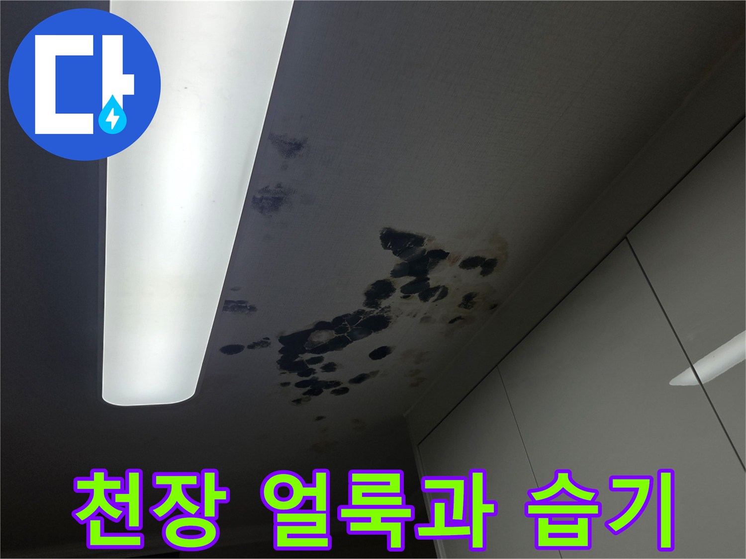 동작구-주택-천장-물샘-얼룩-상태