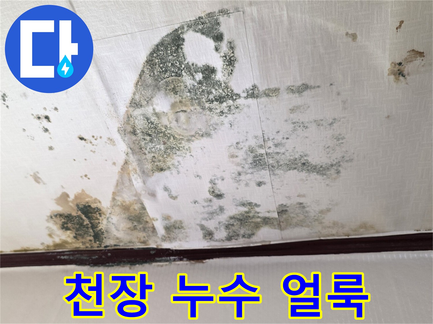 곰팡이가 발생한 천장 벽면 - 누수 피해 상황