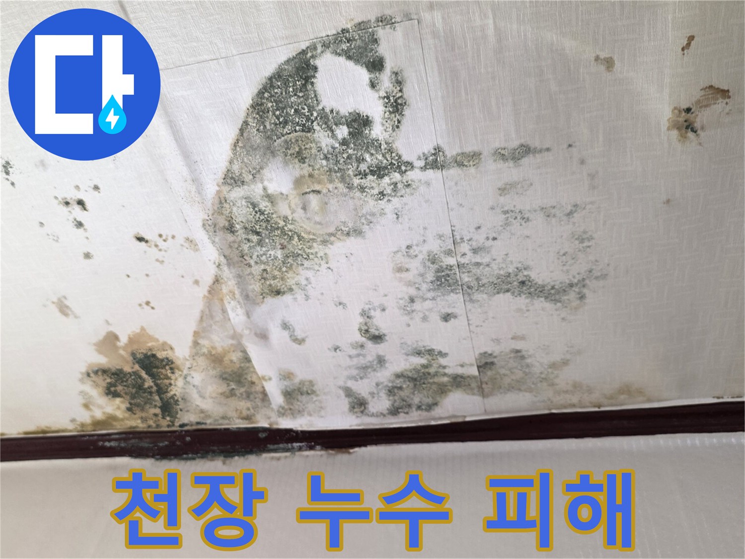 광진구-현장-천장-물샘-및-곰팡이-발생-사진
