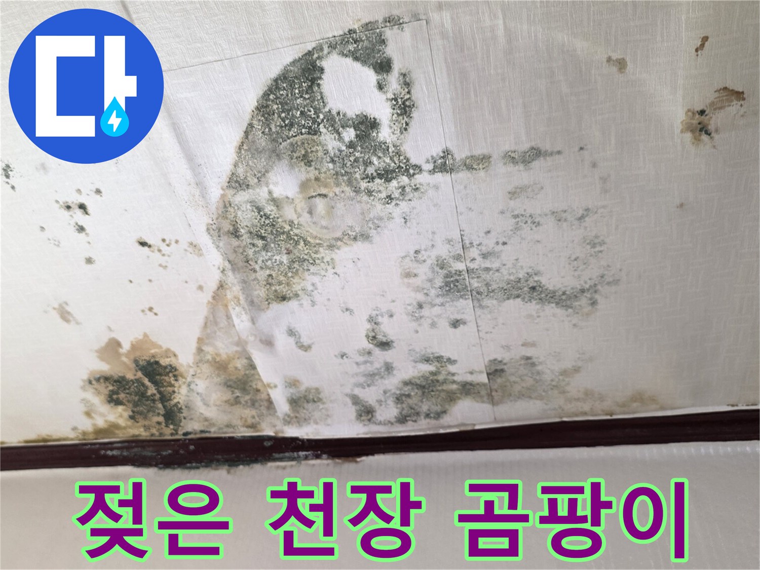물샘 흔적이 가득한 천장 벽지의 곰팡이 상태