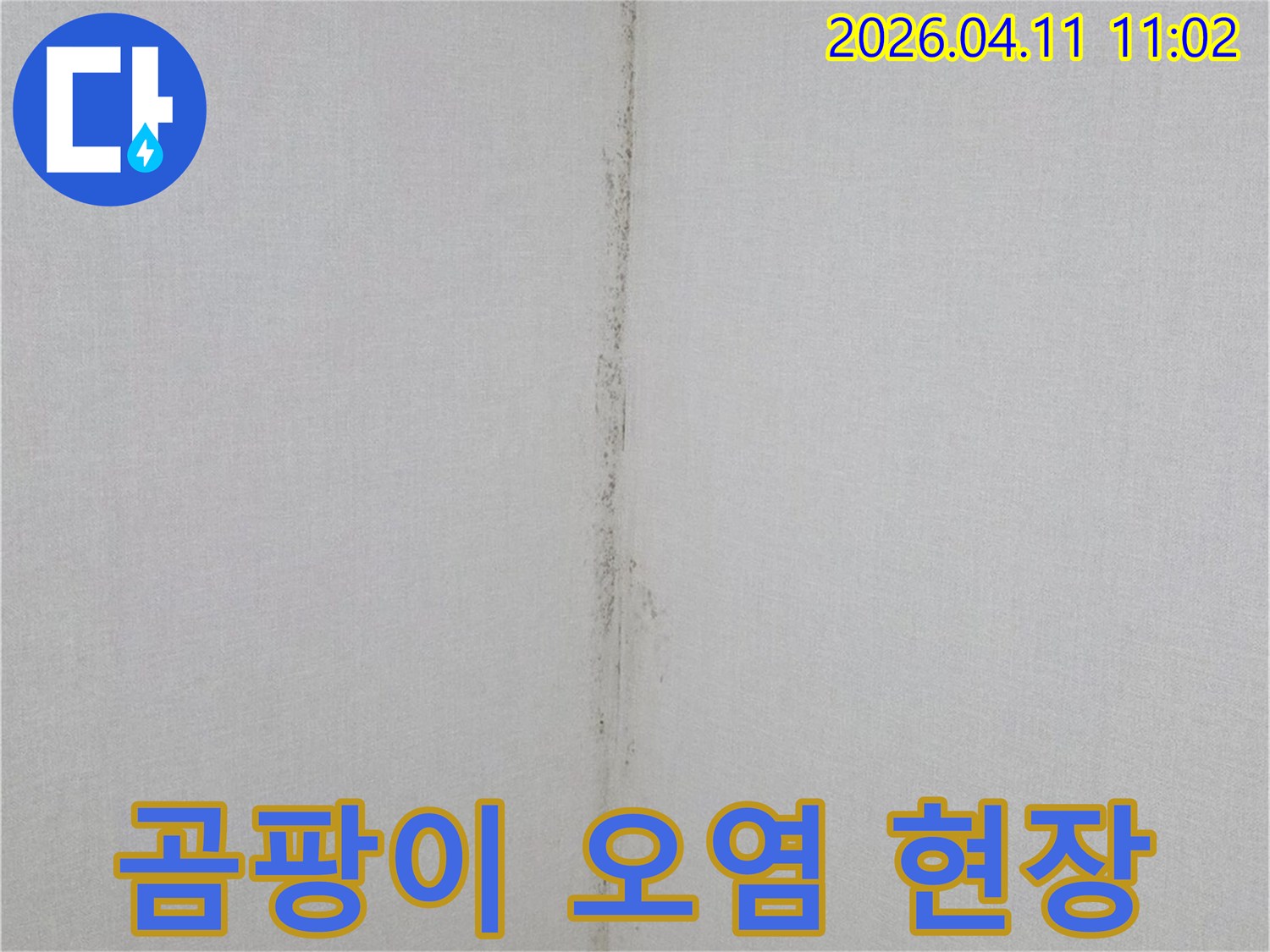 천장-누수-진단을-위해-촬영한-곰팡이-현장-이미지