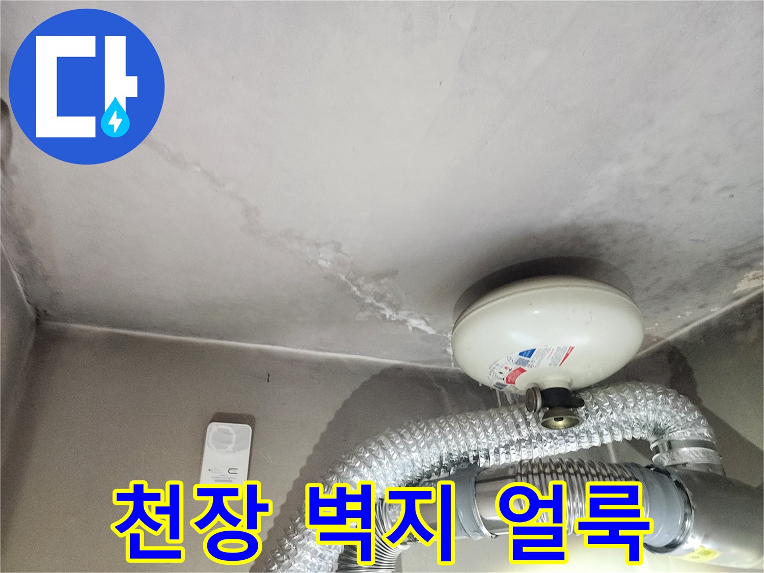 천장-벽면의-물자극과-배관-주변의-상태-점검