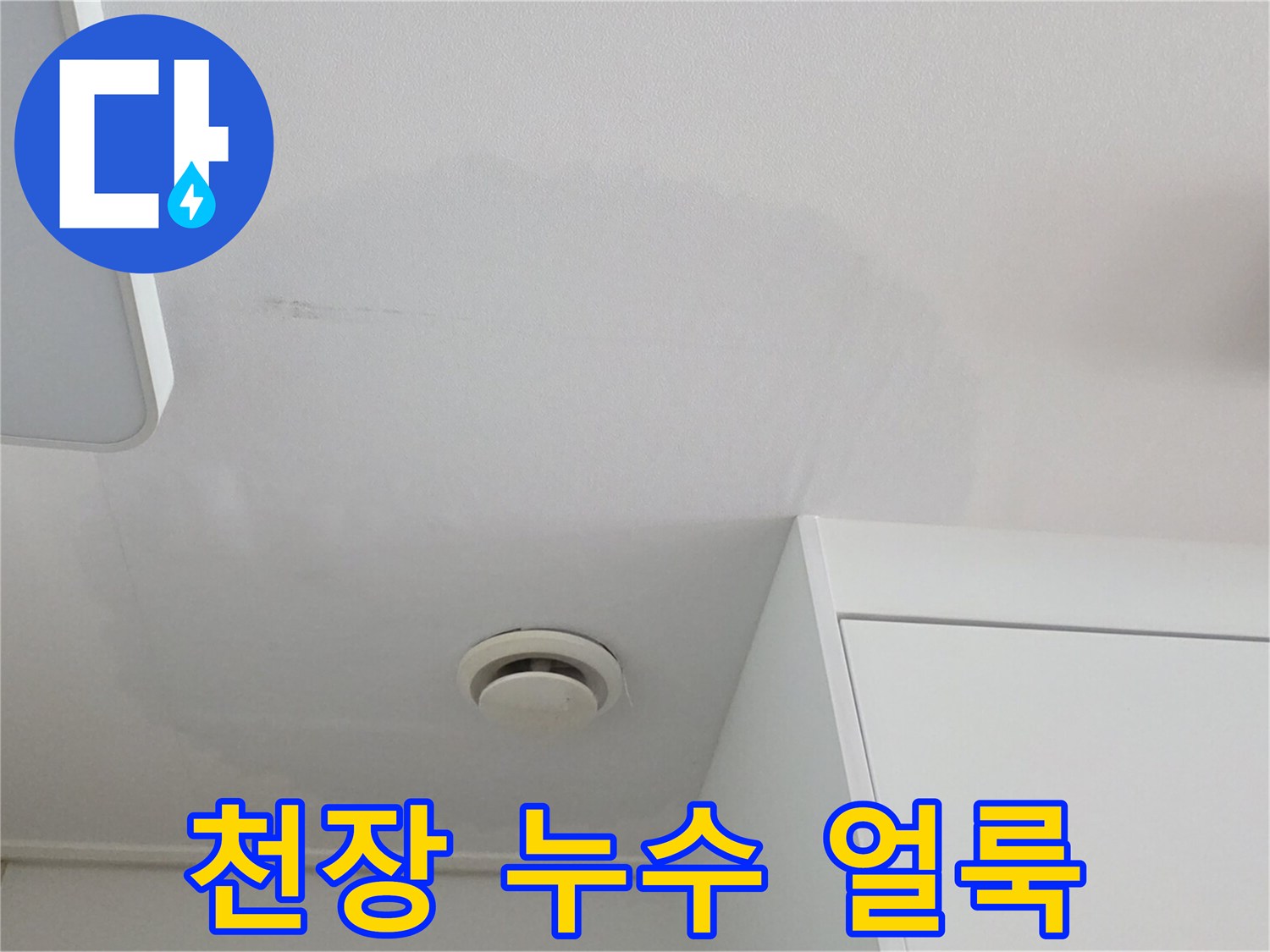 천장 조명 주변의 습기 젖은 자국