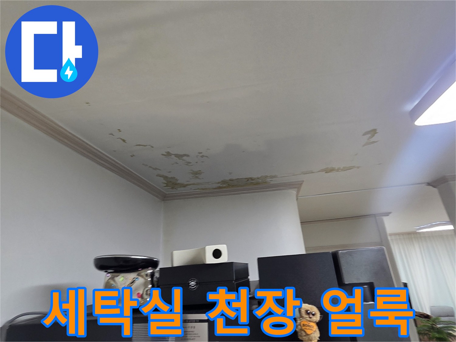 도봉구-세탁실-천장-페인트-들뜸-현상-사진