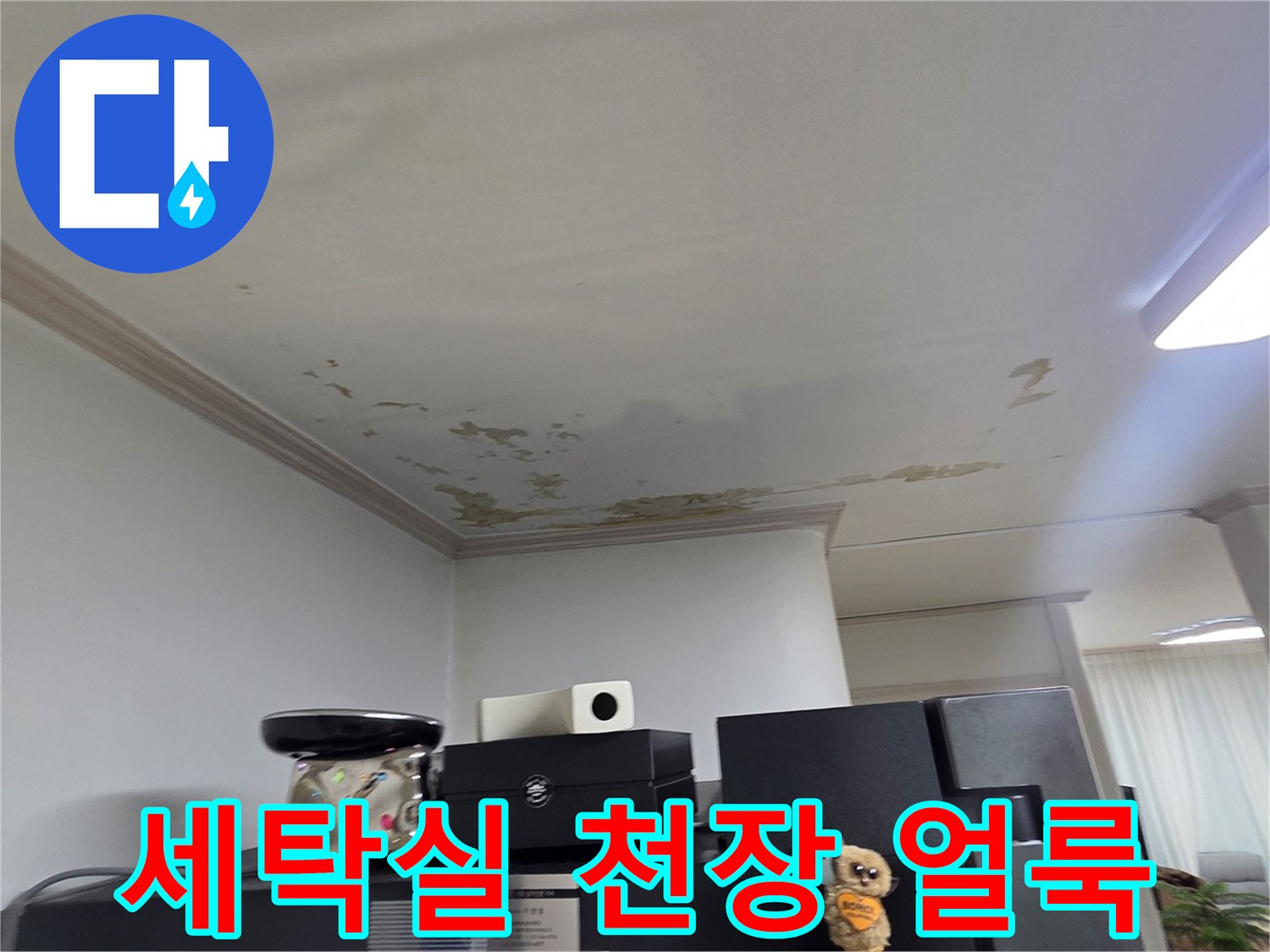 도봉구 아파트 세탁실 천장의 페인트 벗겨짐과 누수 흔적
