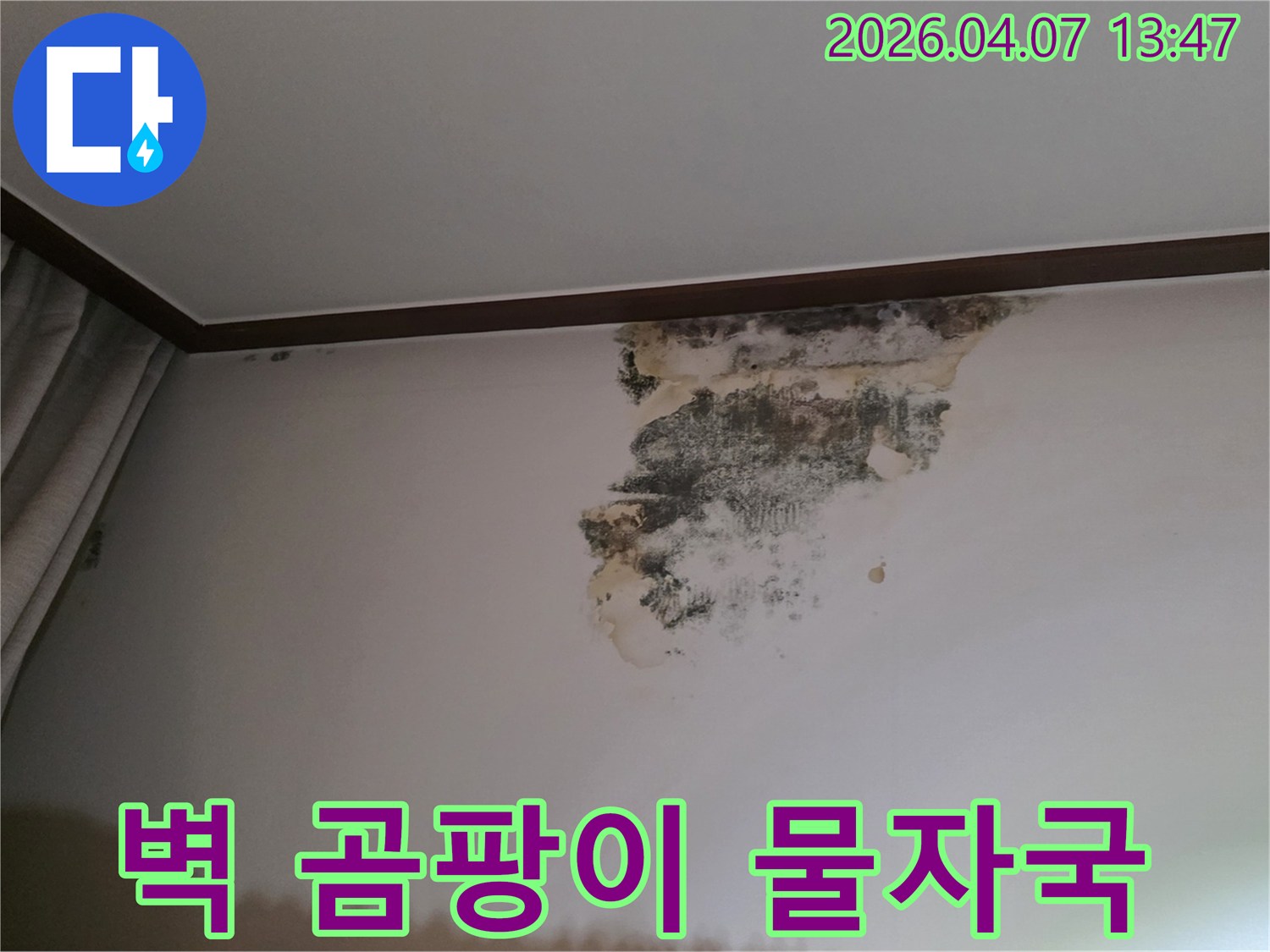 누수 엔지니어가-현장에서 촬영한-벽면 곰팡이와-물자국의-증거 사진입니다