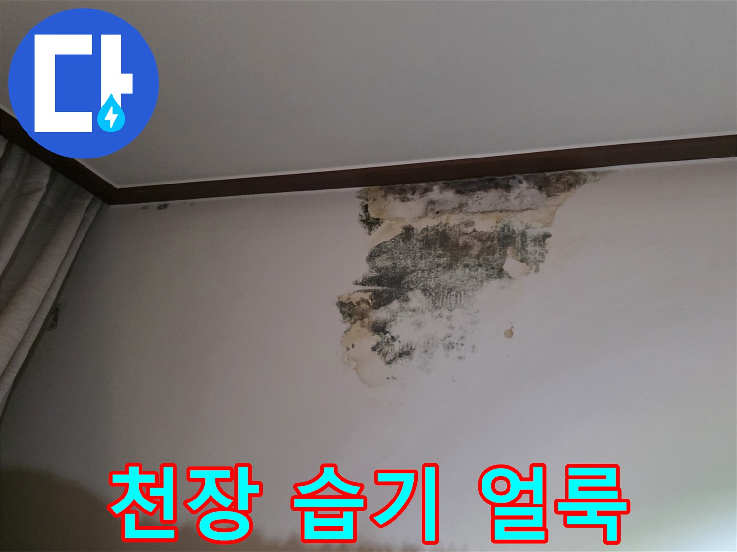 누수가 진행된 천장 벽지의 곰팡이와 물자국 사진