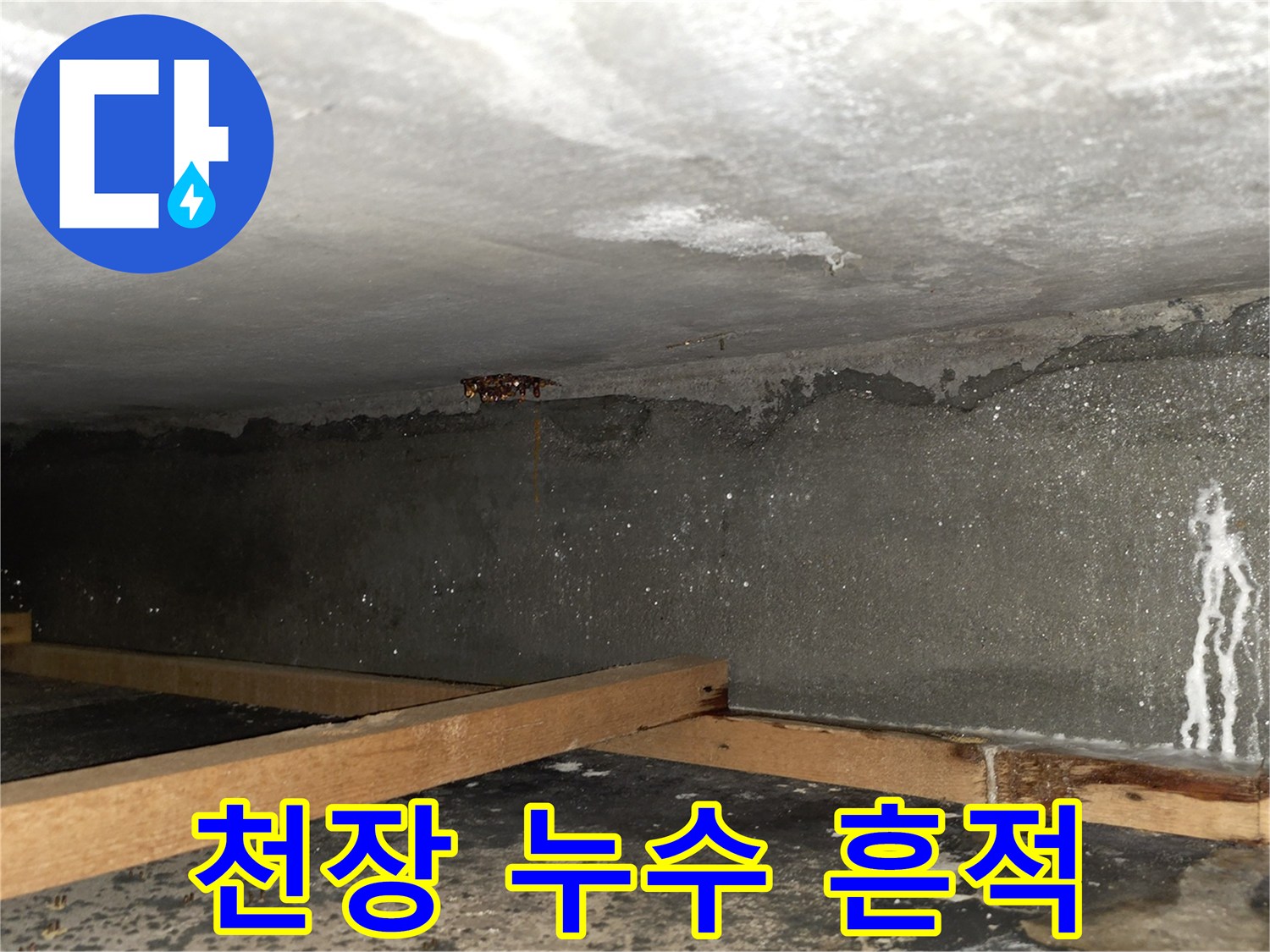 물샘 현상이 발생한 아랫집 천장 내부의 모습