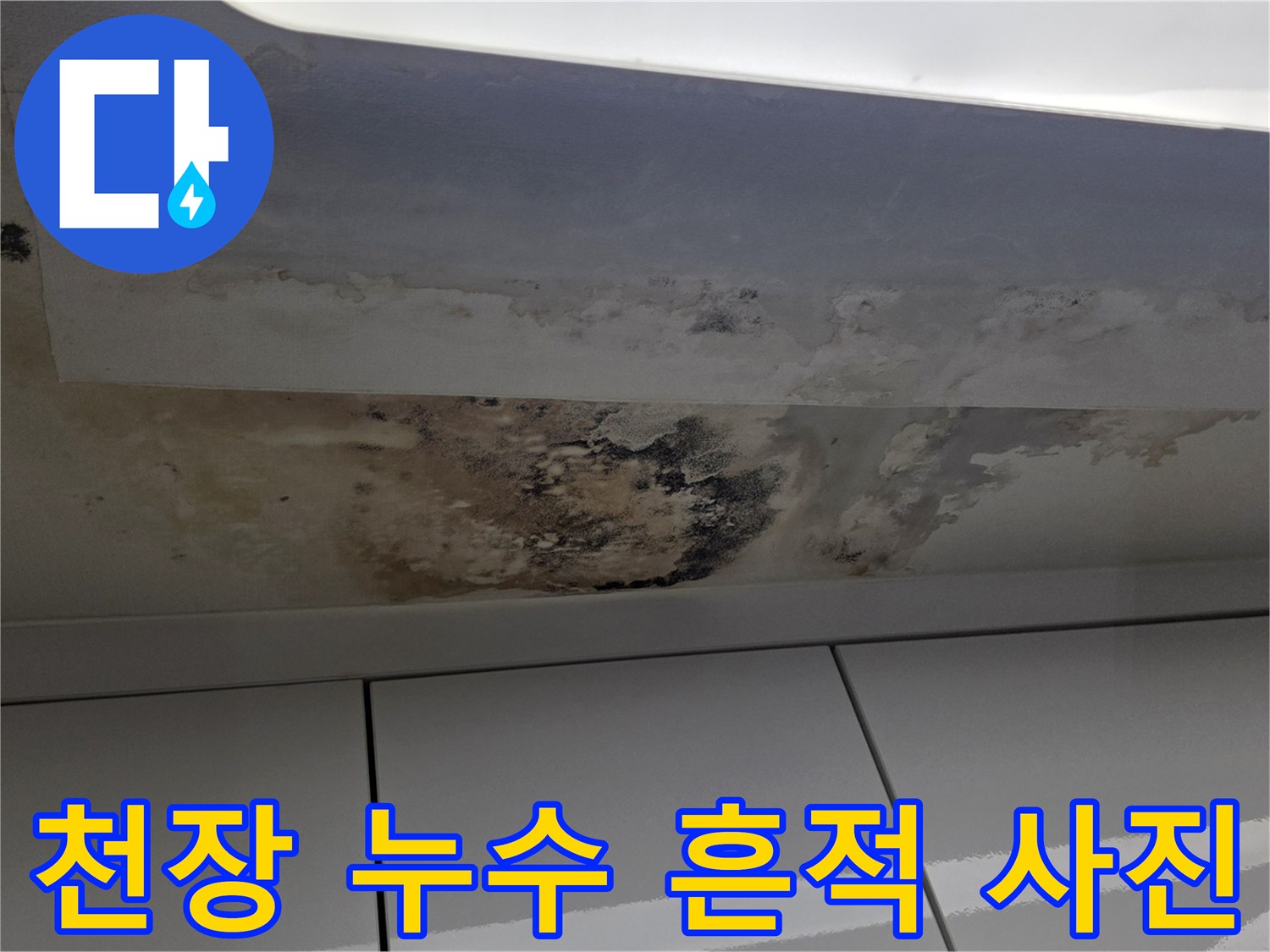 물샘으로 인한-세탁실 천장의 변색과 곰팡이 상태