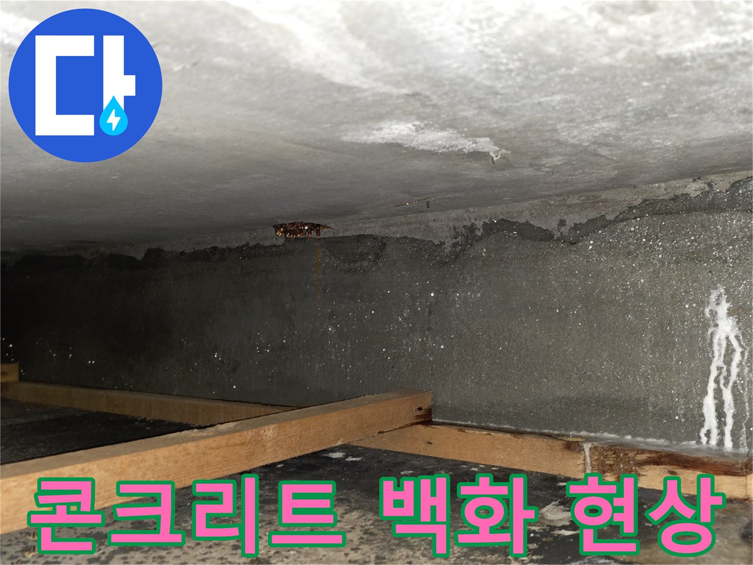 물샘으로 인해 하얗게 일어난 콘크리트 표면