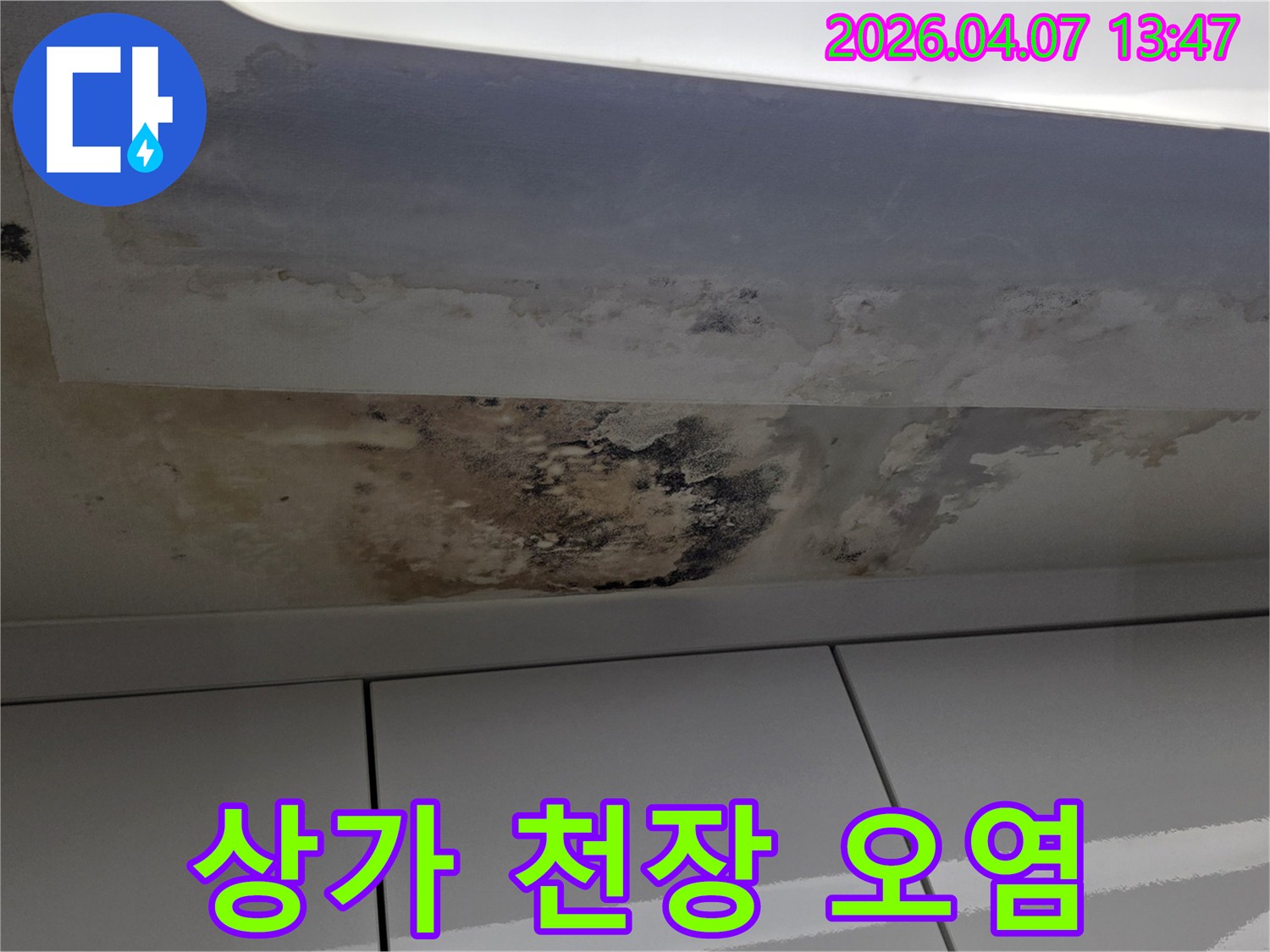 상가-천장에-발생한-누수로-인한-오염과-광범위한-곰팡이-번식-현장-전문-진단-필요