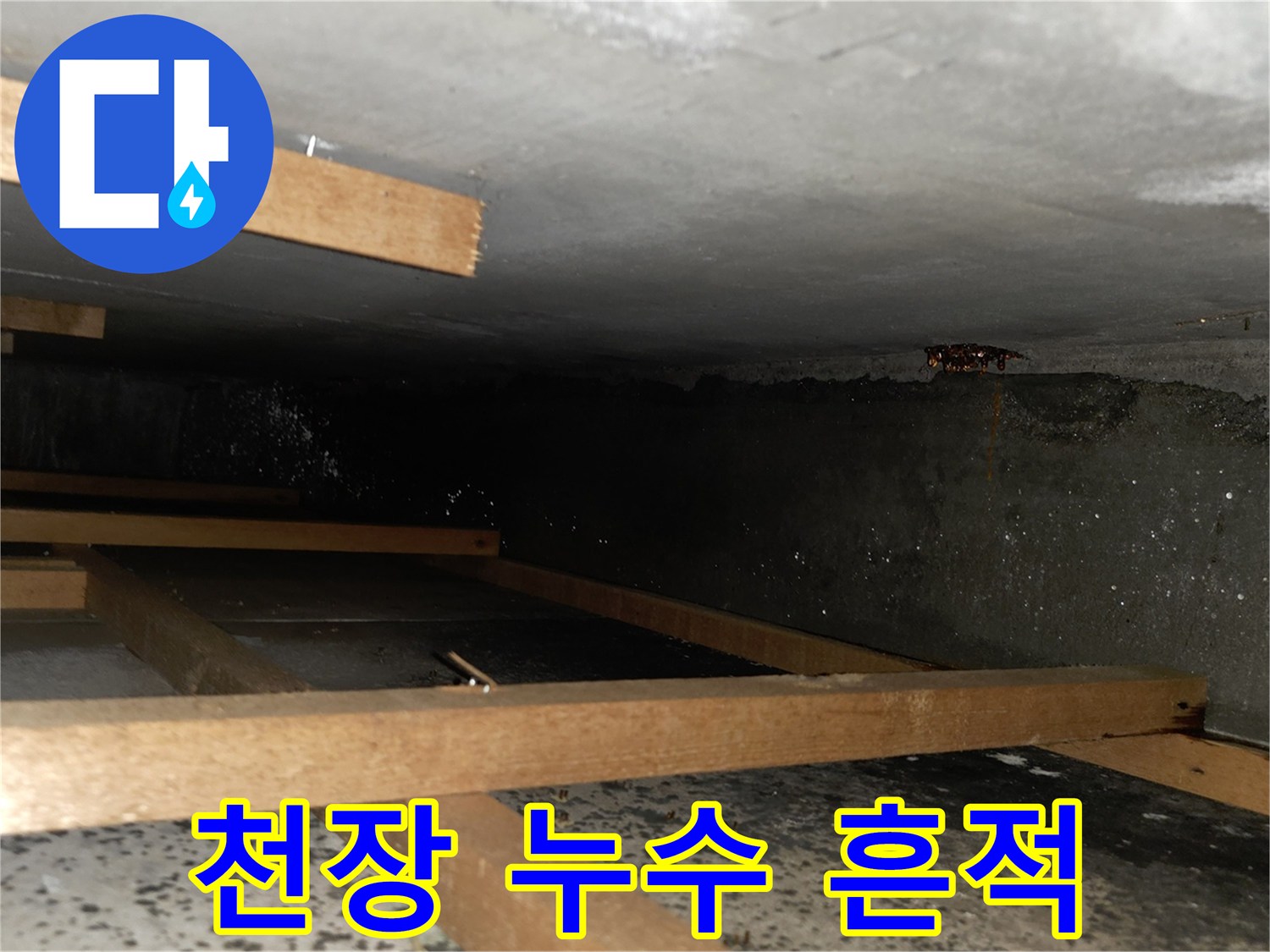 성남 중원구-아랫집 천장 배관 주변의 누수 흔적과 젖은 상태