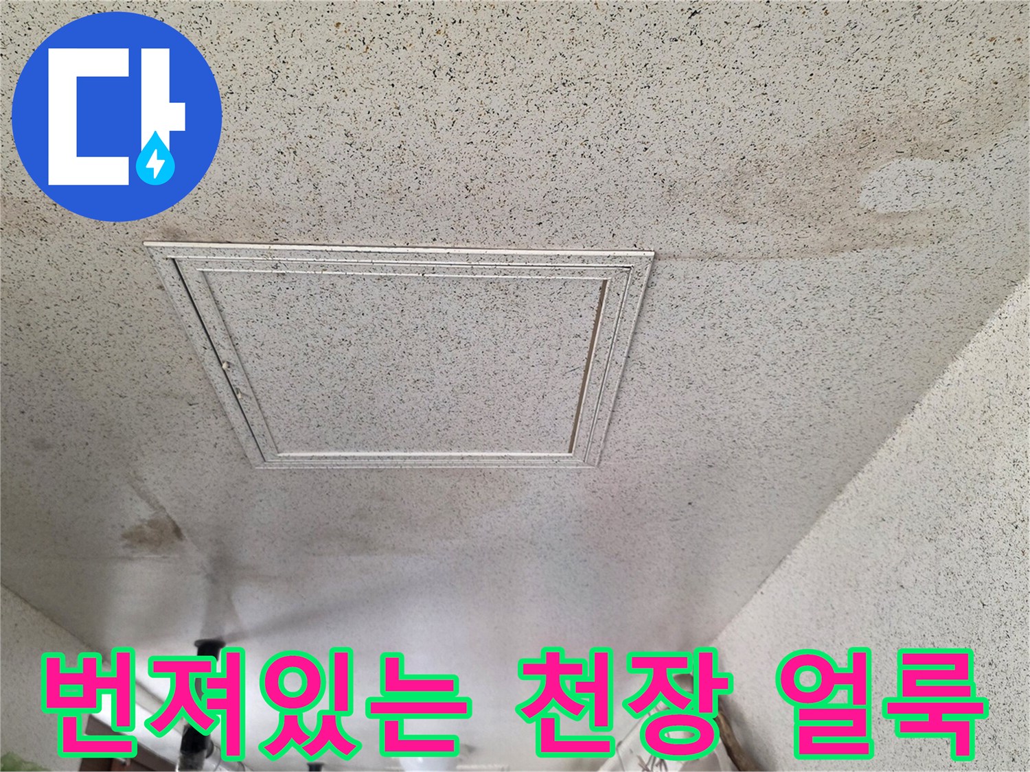세탁실 천장 마감재의 넓은 물얼룩 현상