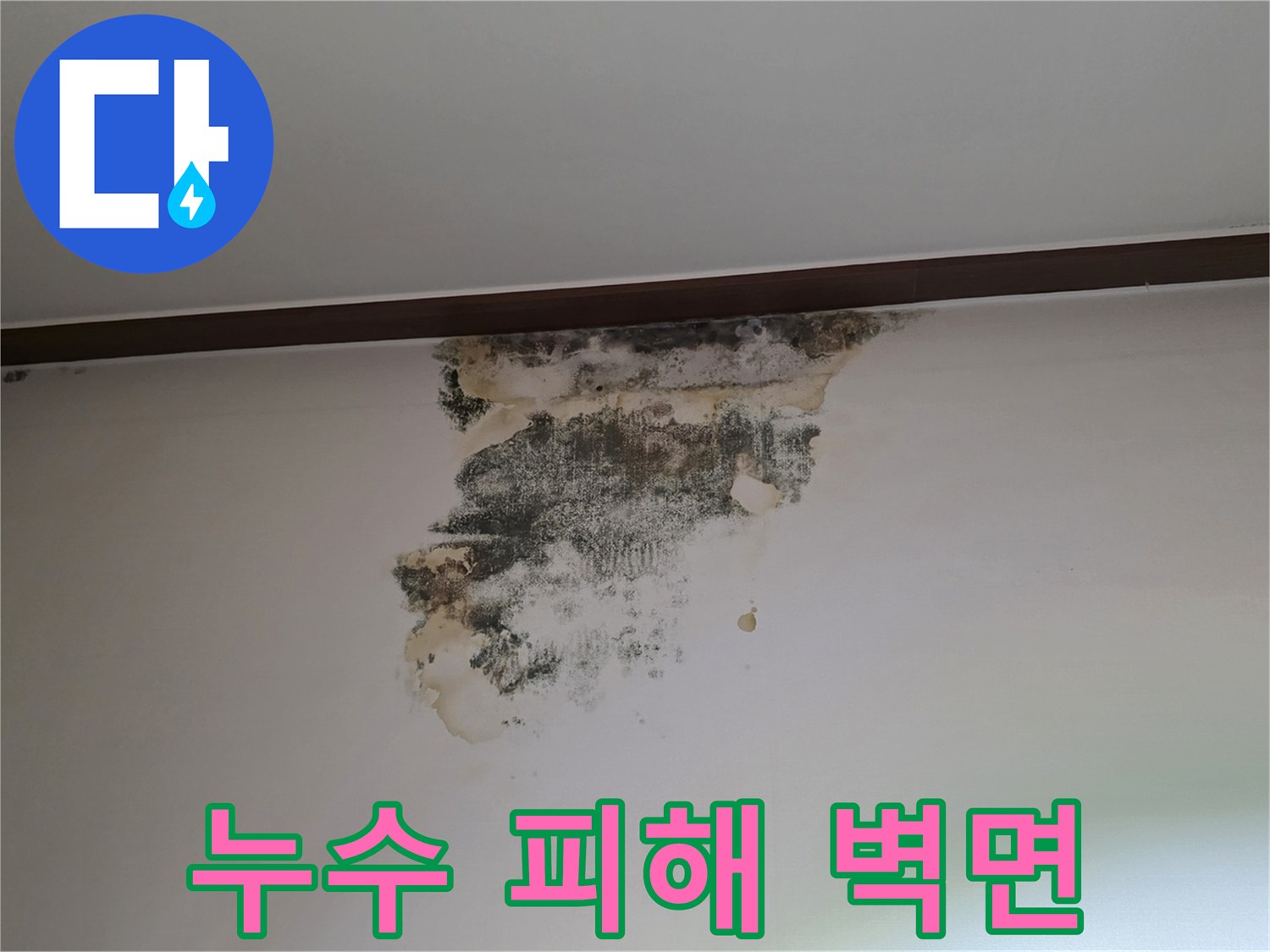 심하게 변색된-아랫집 거실 천장 부위