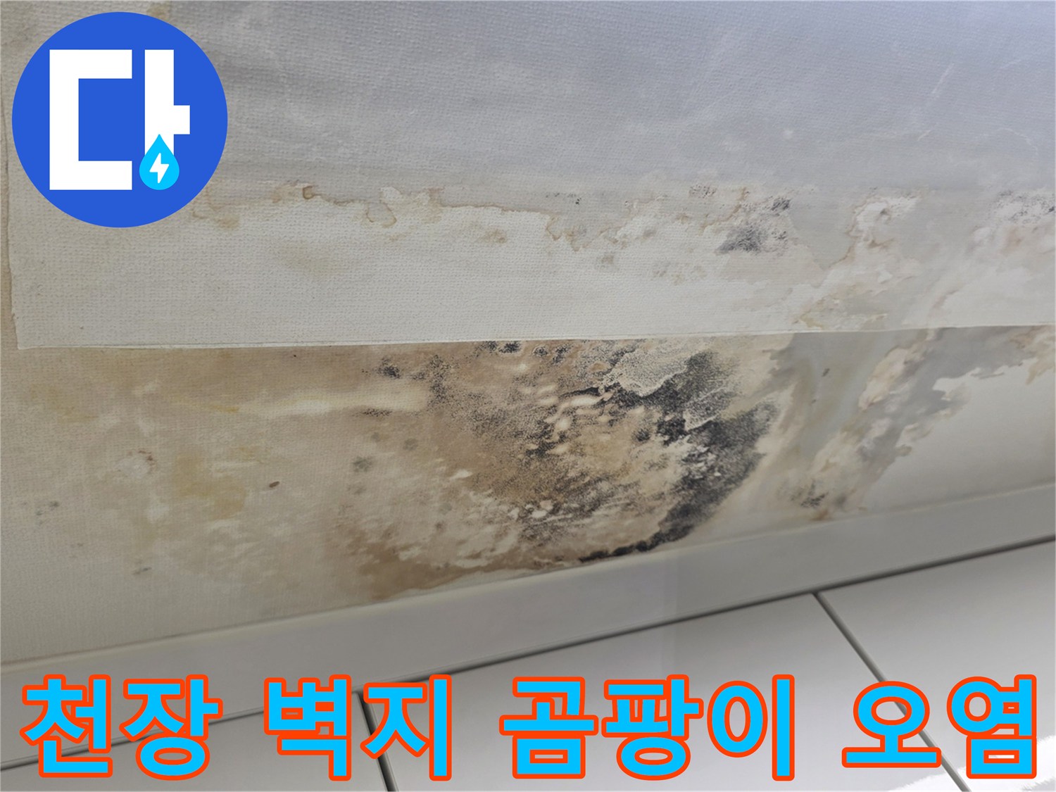 아랫집 천장-물샘으로 인한 벽지 변색 및 곰팡이 발생