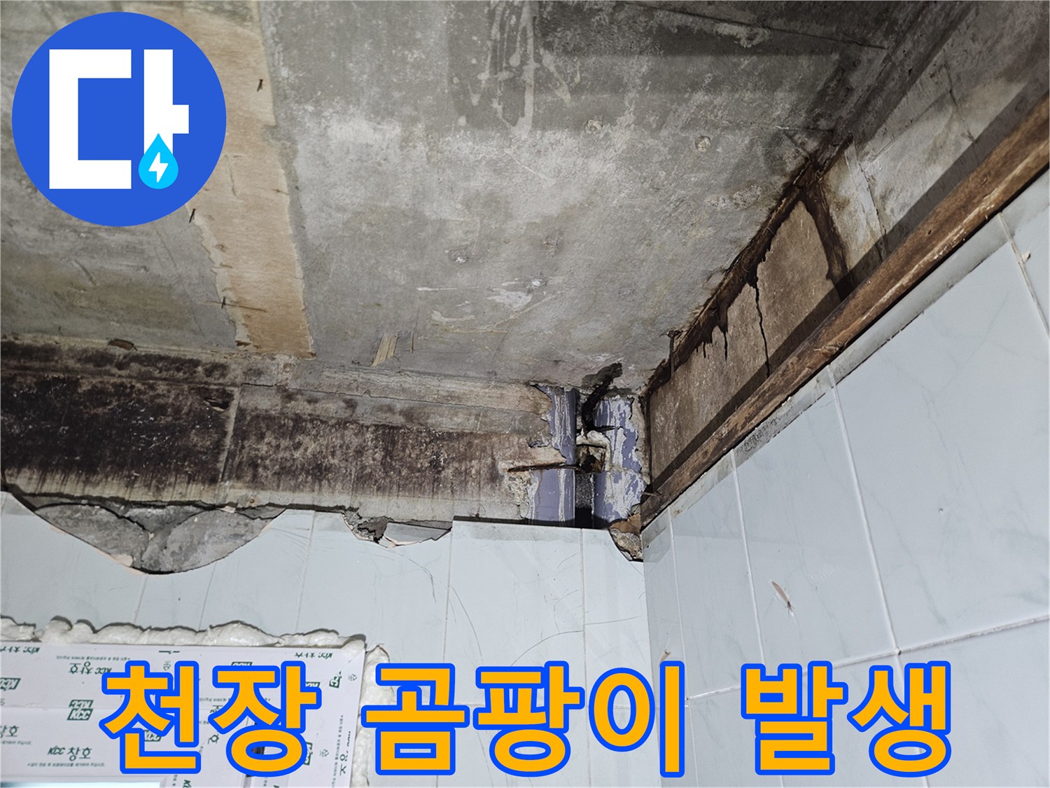 천장 슬래브-누수 물길에 의한 곰팡이 번식 상태