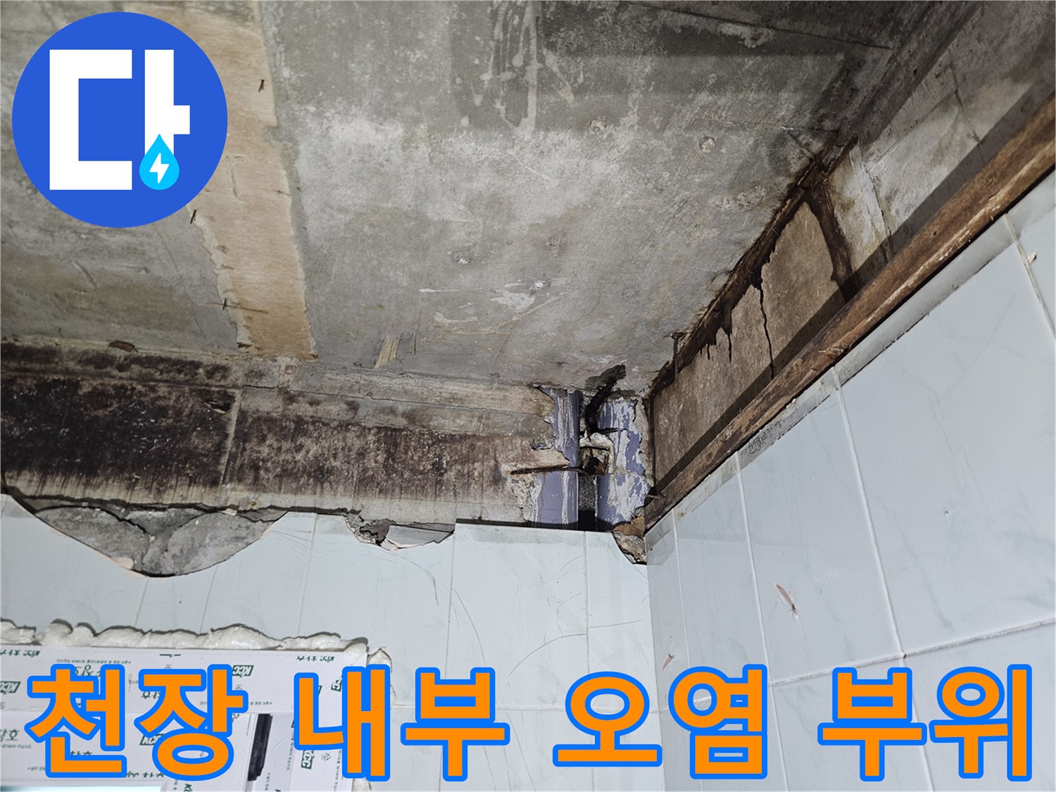 천장 슬래브-누수로 인한 곰팡이 및 습기 흔적