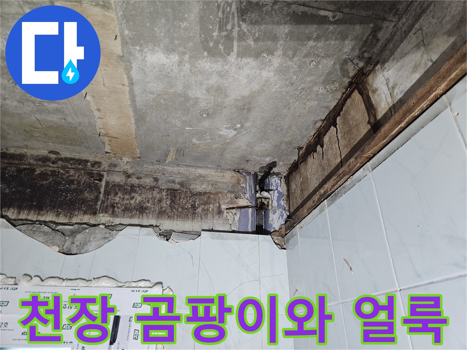 화장실-천장-콘크리트-부위의-심한-곰팡이와-습기-흔적