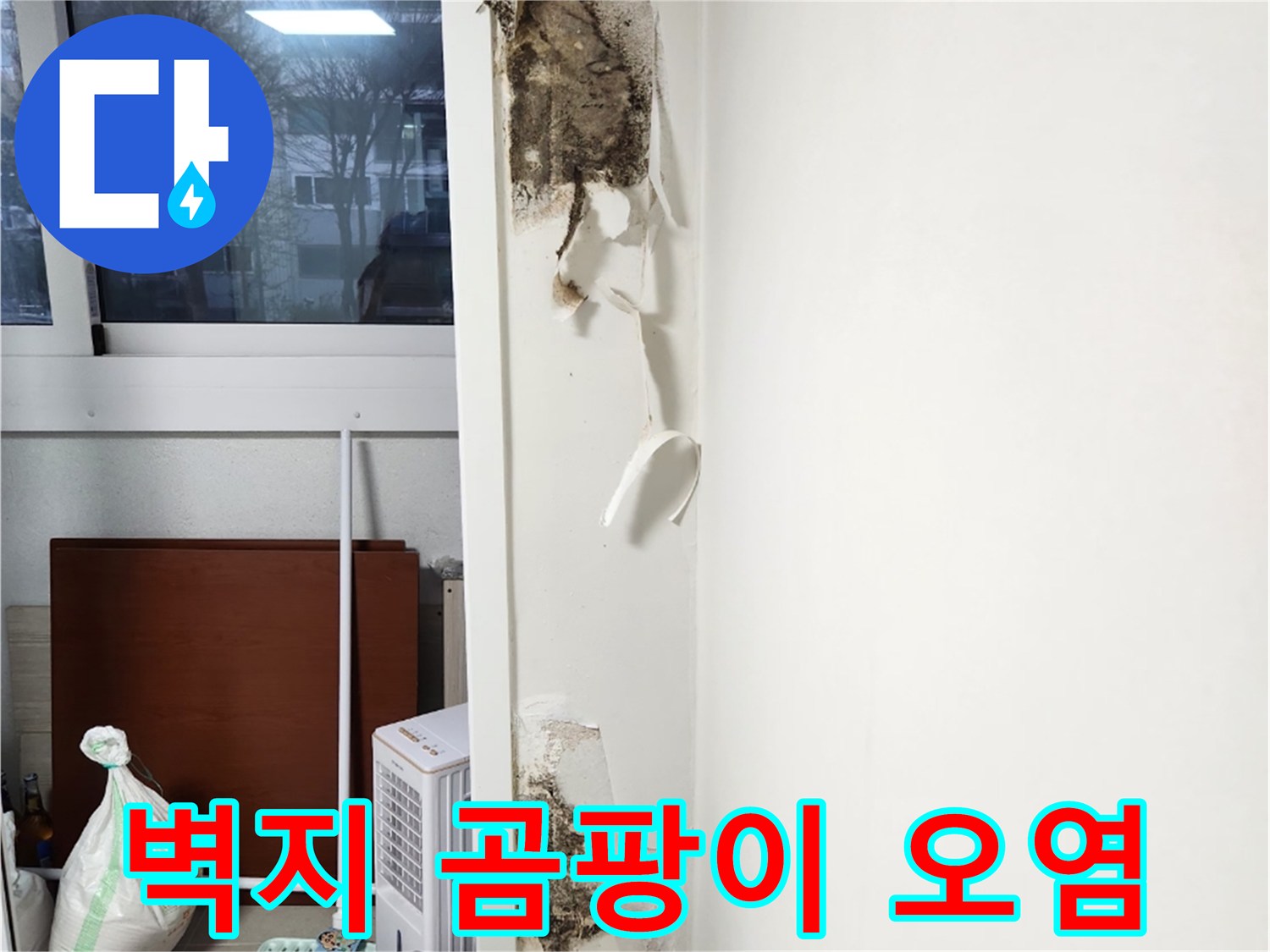 강서구 거실 벽면의 곰팡이와 들뜬 벽지 상태