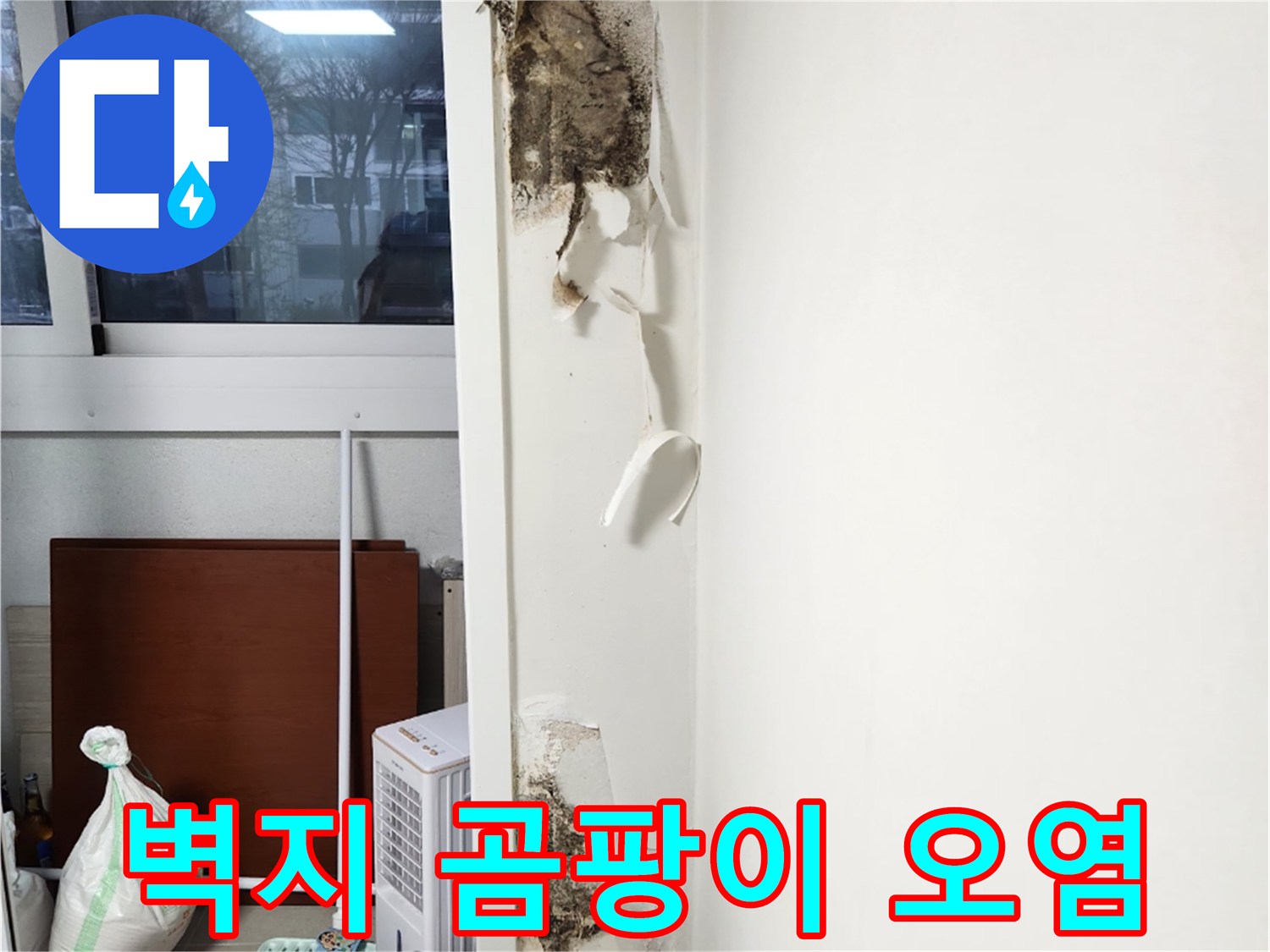 거실 벽면-심한 곰팡이와 벽지 들뜸 현상