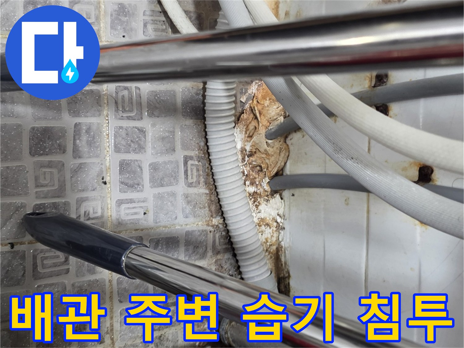 배관-틈새로-스며든-물과-습한-바닥-상태