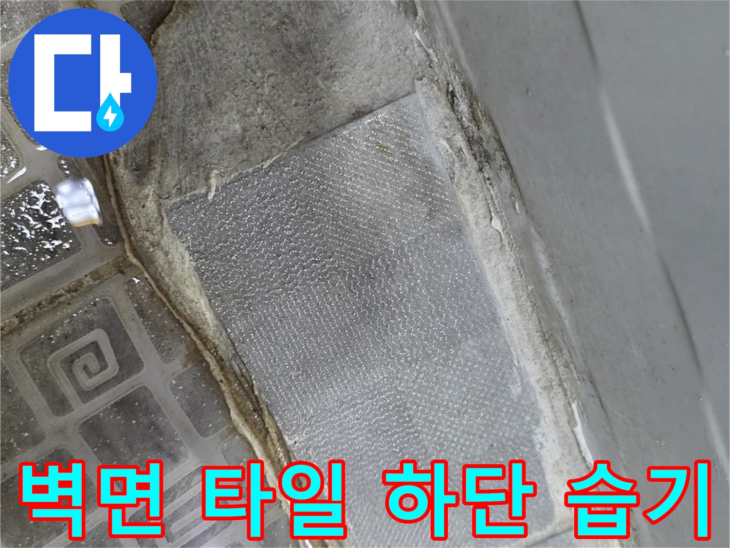 축축하게-젖어있는-화장실-타일-경계선
