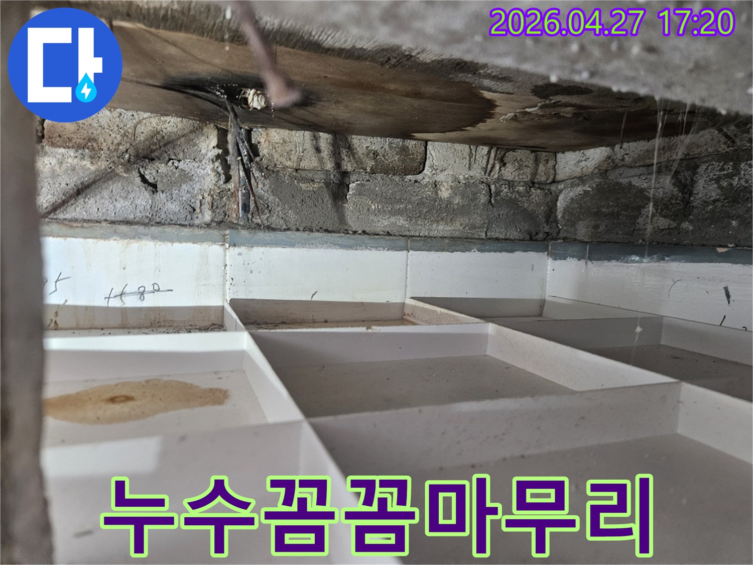 욕실-천장-누수-공사-후-꼼꼼하게-마무리-작업을-진행하는-모습