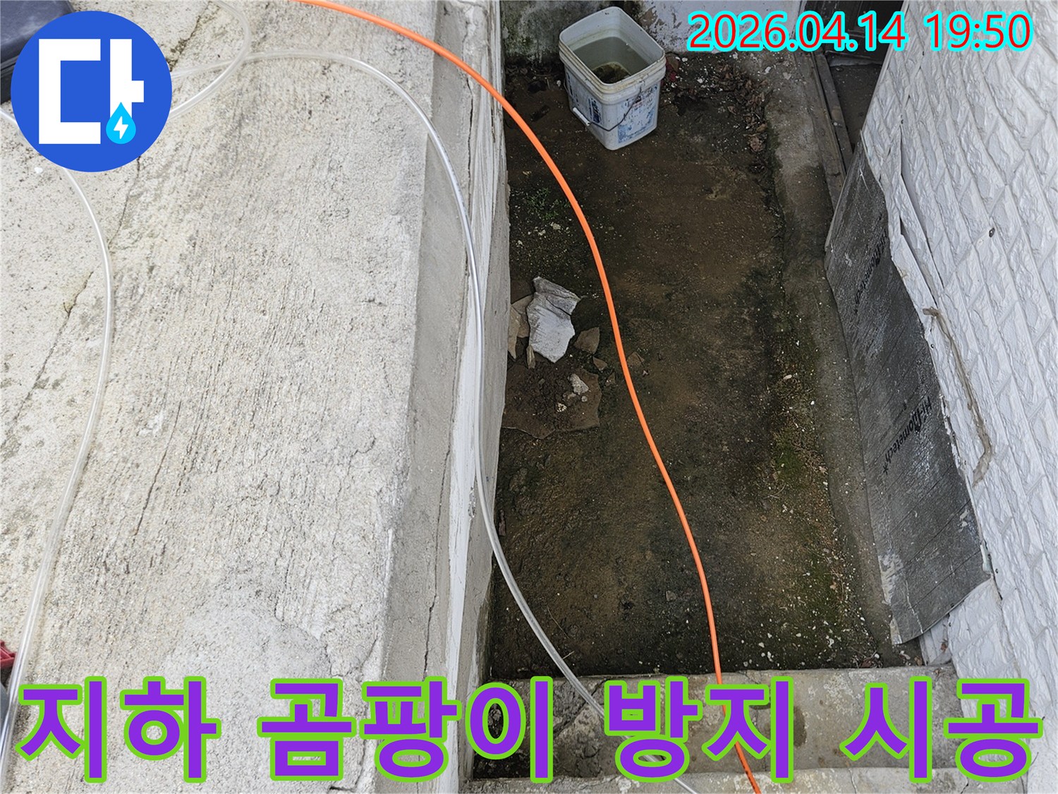 가평 운악청계로에 위치한-건물 지하에서-발생한-곰팡이 문제를-해결하기-위한-탐지 작업이-진행되고-있는-모습입니다.