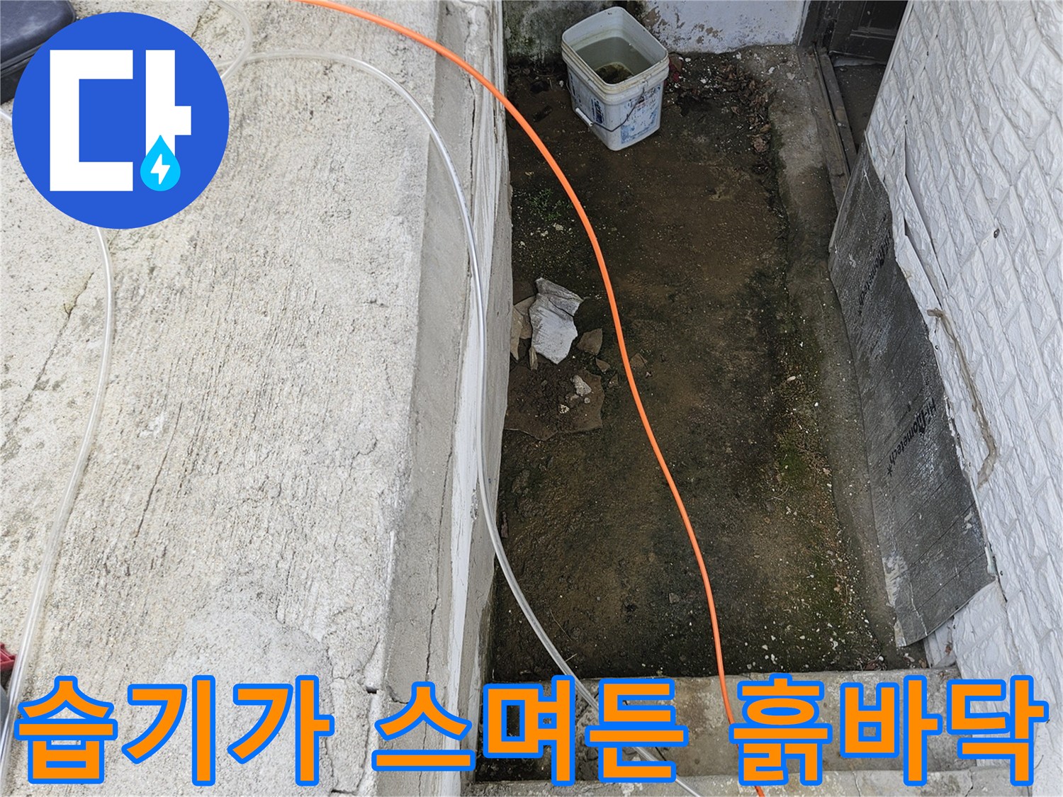축축한-흙과-콘크리트 경계 부위