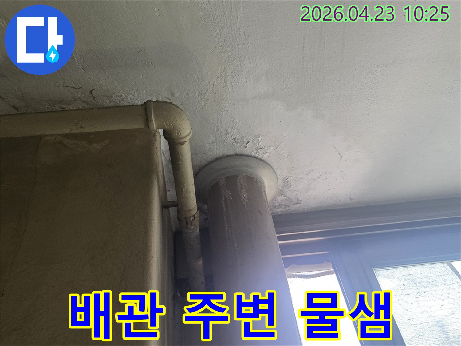 배관-주변-물샘-흔적-천장-도배지-손상