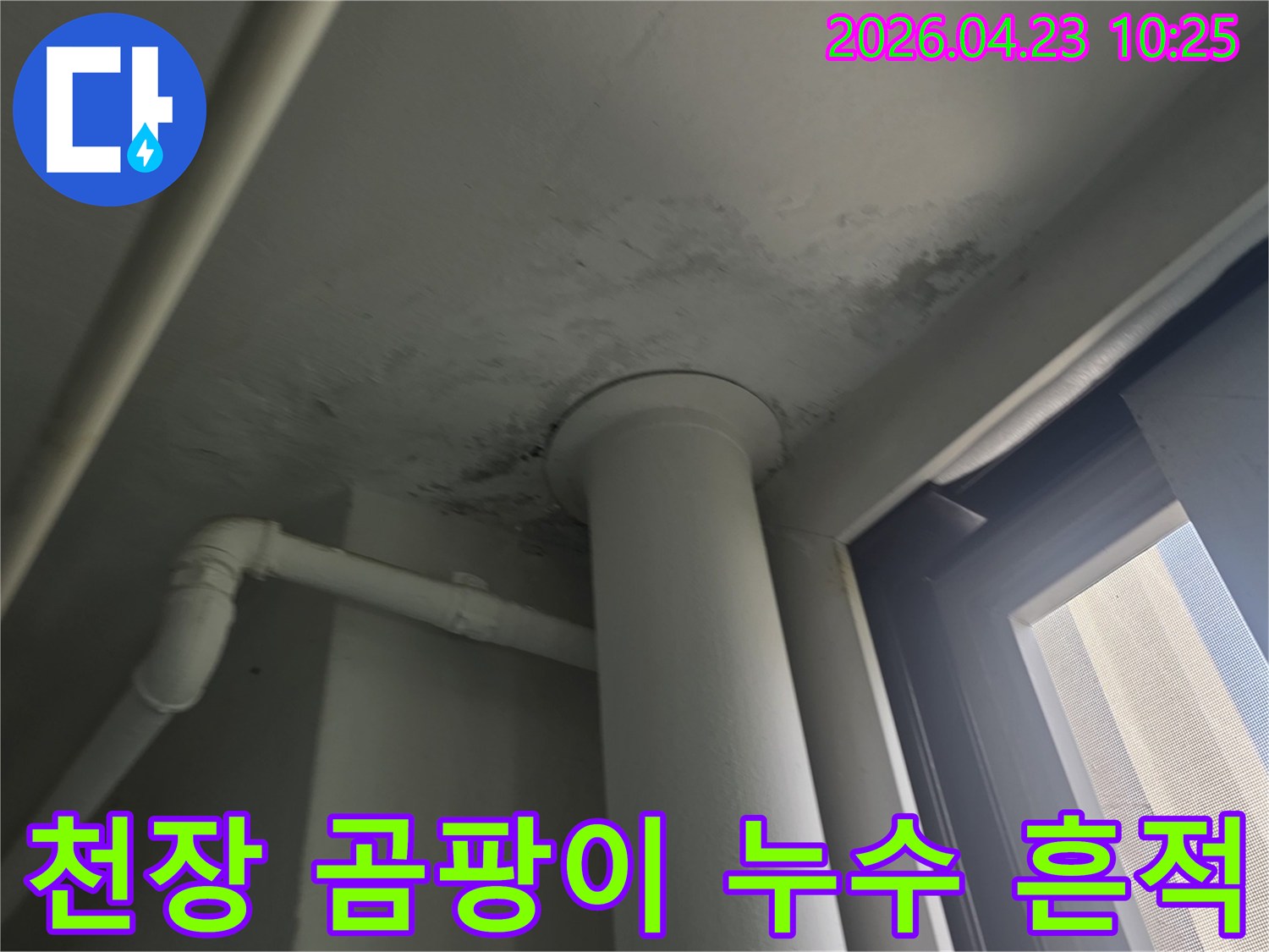 천장 모서리 배관 주변에 나타난 곰팡이와 물자국