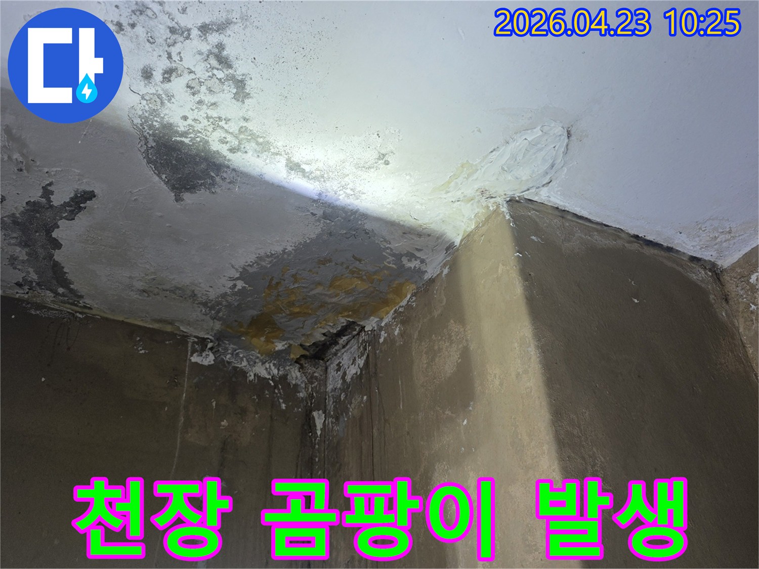 천장-모서리-부분-물에-젖어-변색된-곰팡이-사진