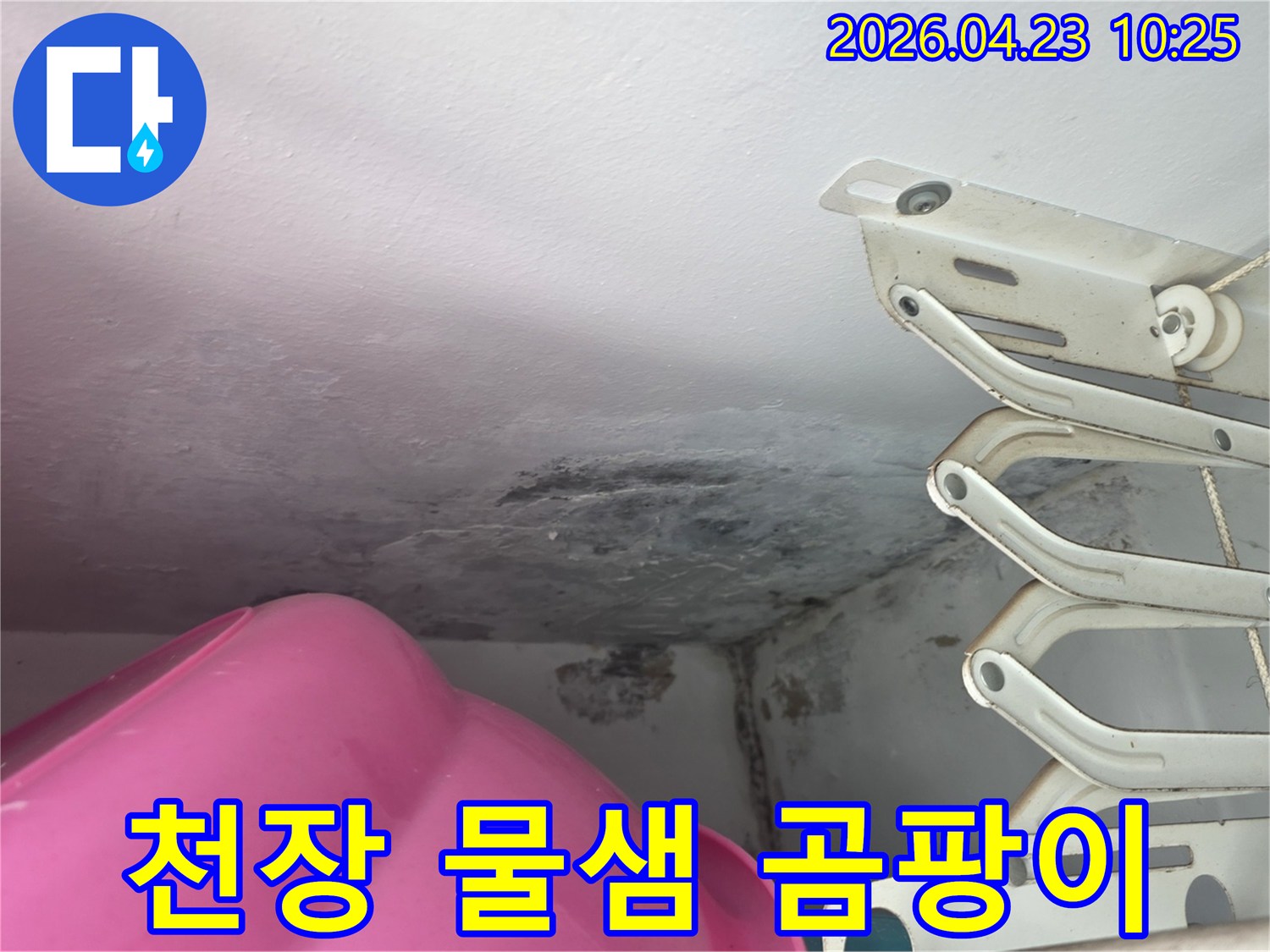 천장-모서리에-발생한-누수-흔적과-까맣게-변색된-곰팡이
