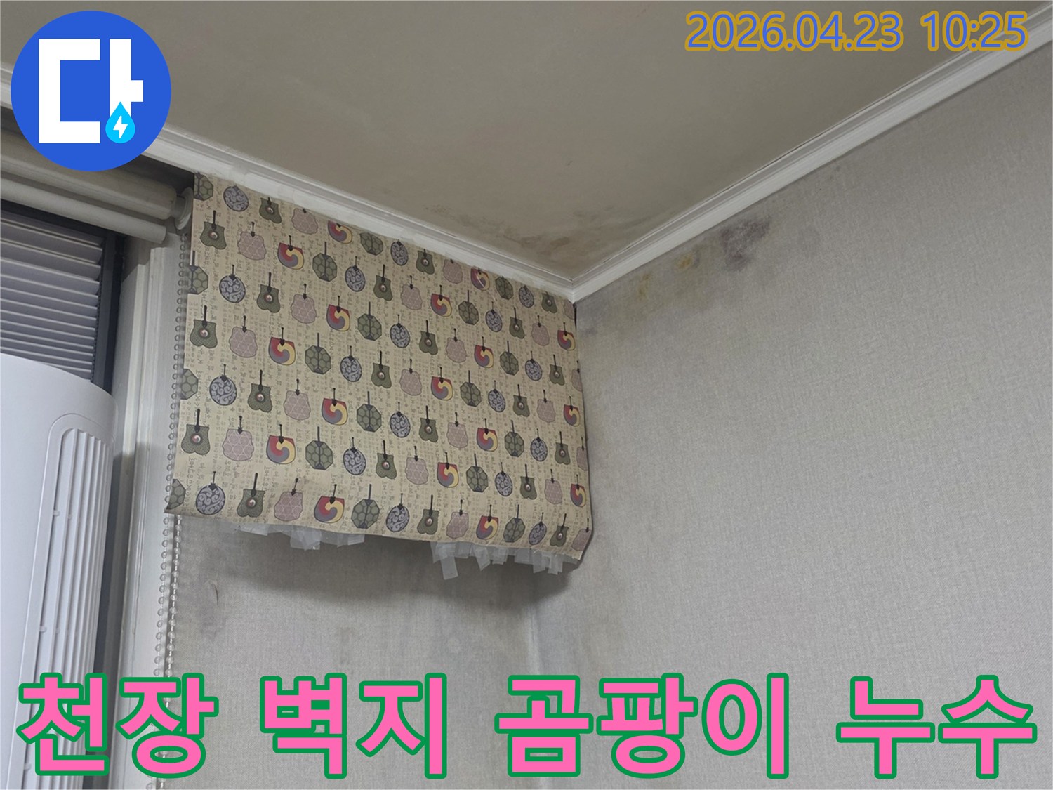 천장과-벽지에-발생한-심각한-누수-곰팡이-피해-현장입니다