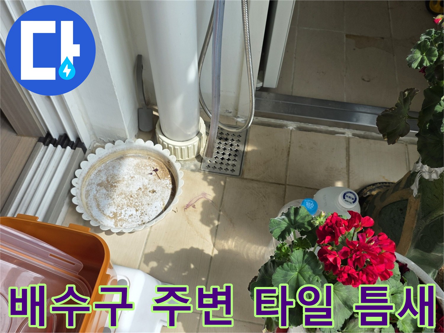 화장실-배수구-유가-주변-타일-틈새-관찰