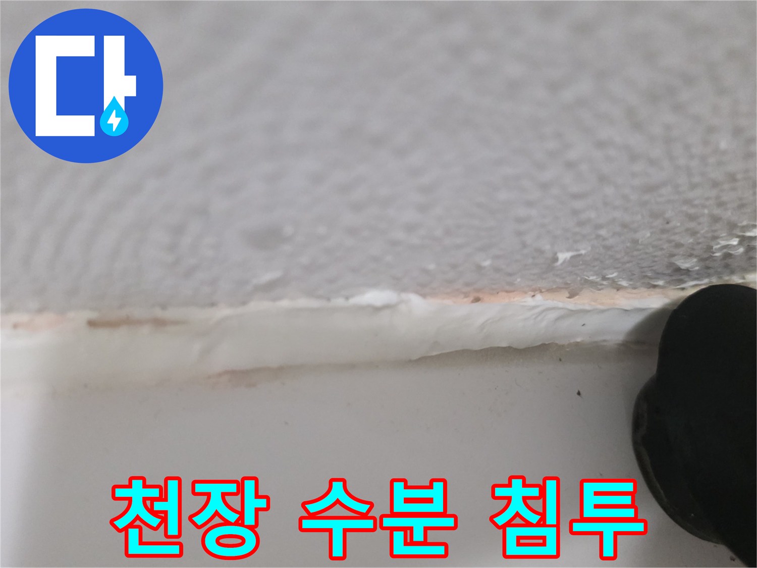 화장실 천장 경계면의 젖은 흔적 상세 사진