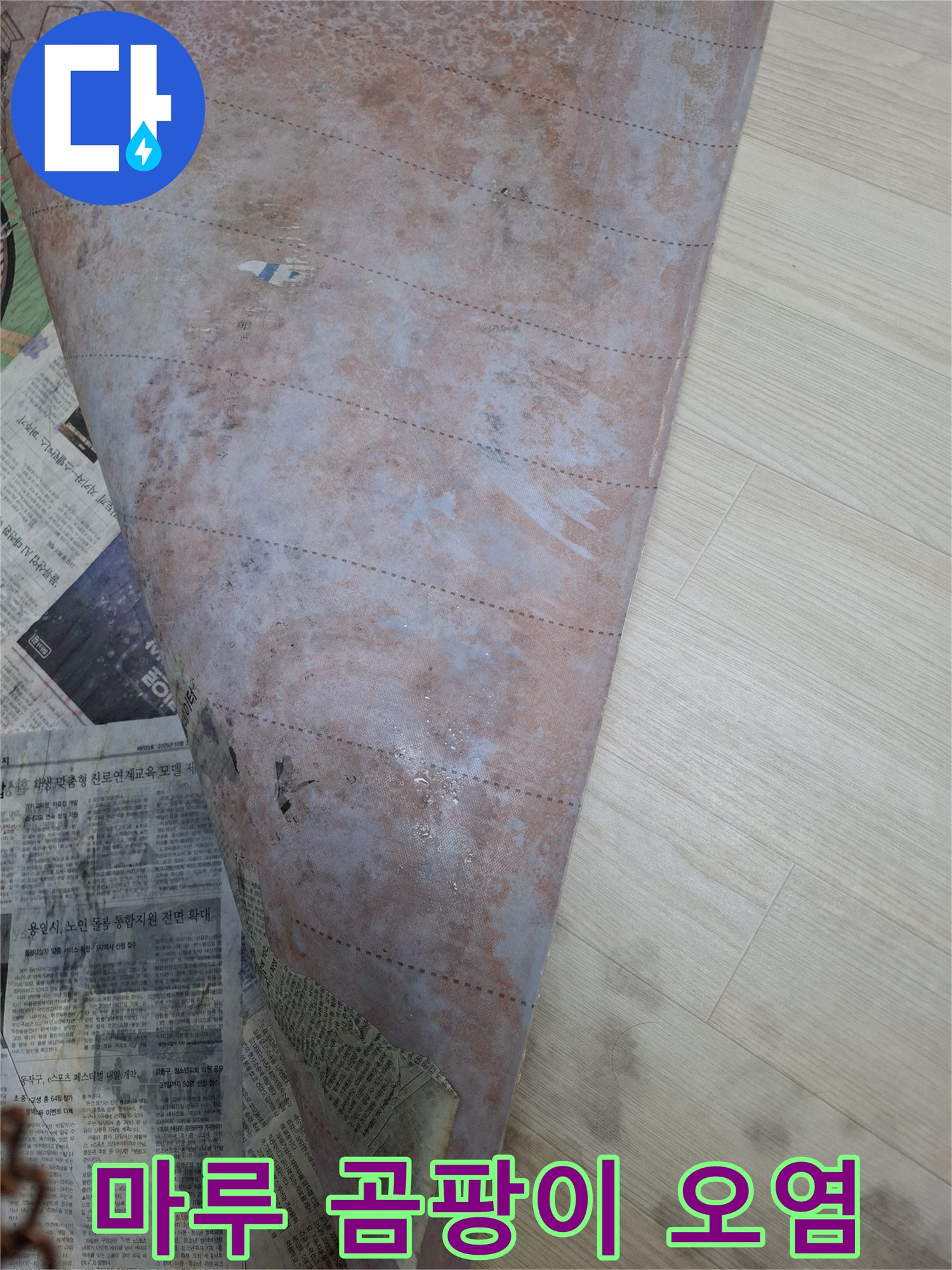 누수 지점 주변의 마루 부식 및 오염 상태