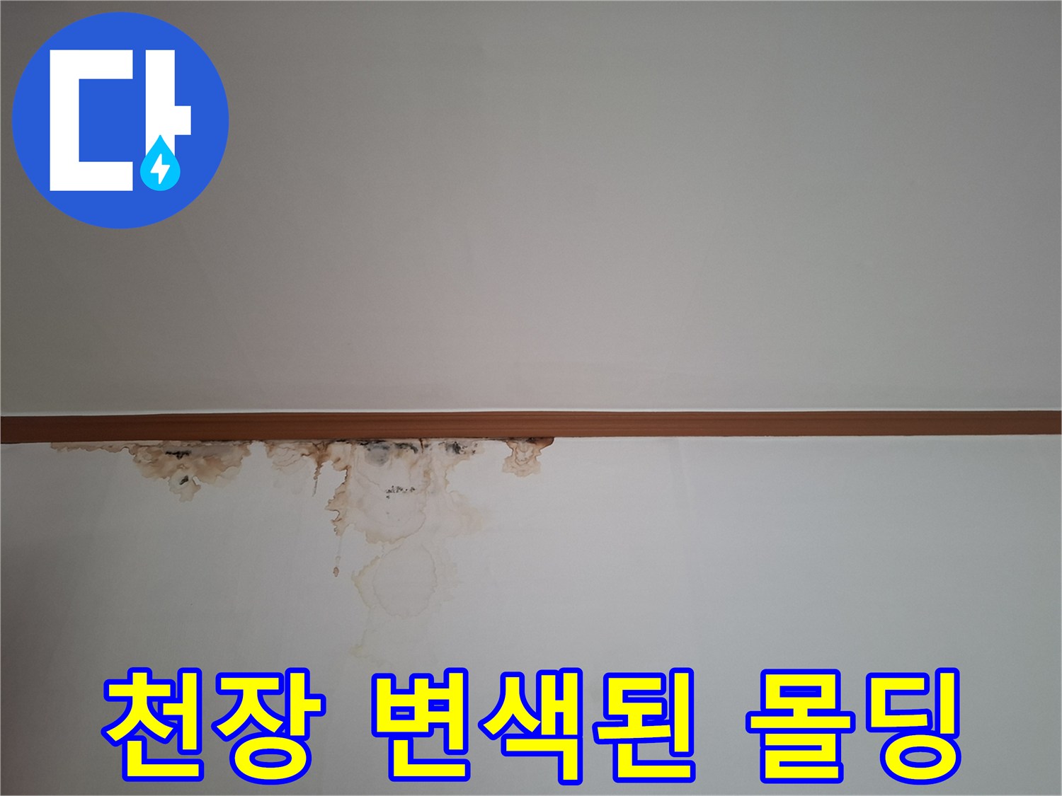 습기로-인해-변색되고-곰팡이가-발생한-천장-몰딩