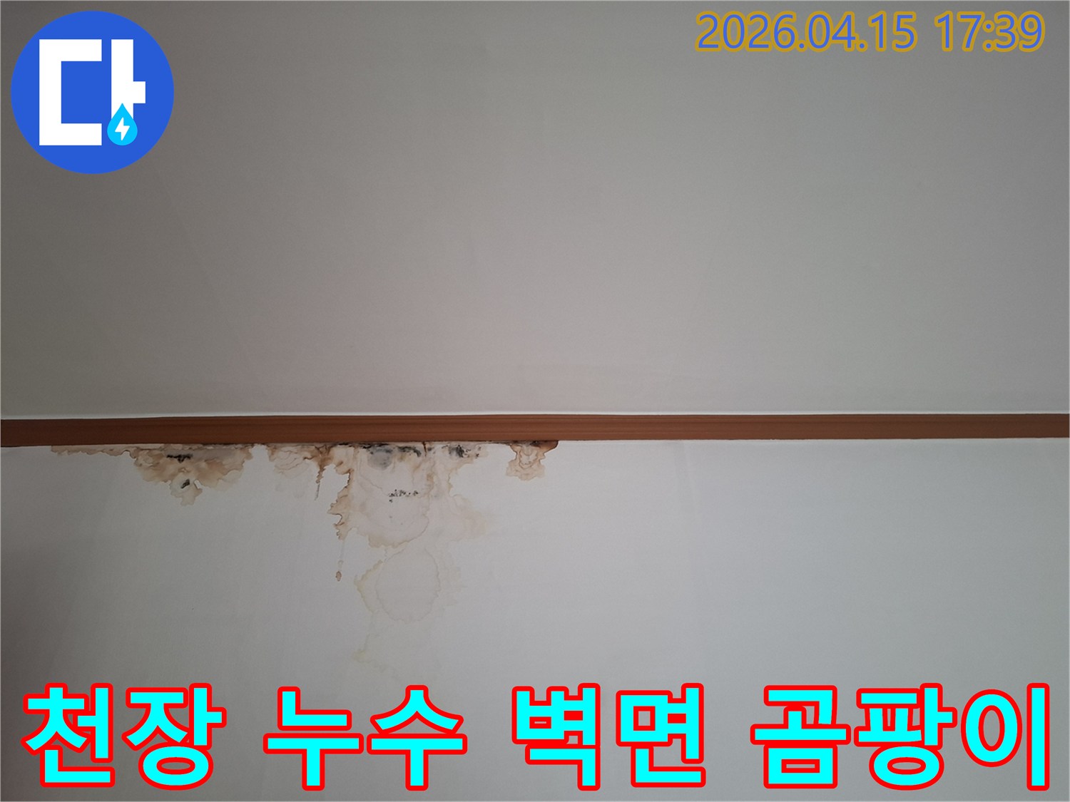 천장과 벽이 만나는 지점에서 발생한 누수로-인해-벽지에-심한-물자국과-곰팡이가-생긴-모습을-보여주는-사진입니다