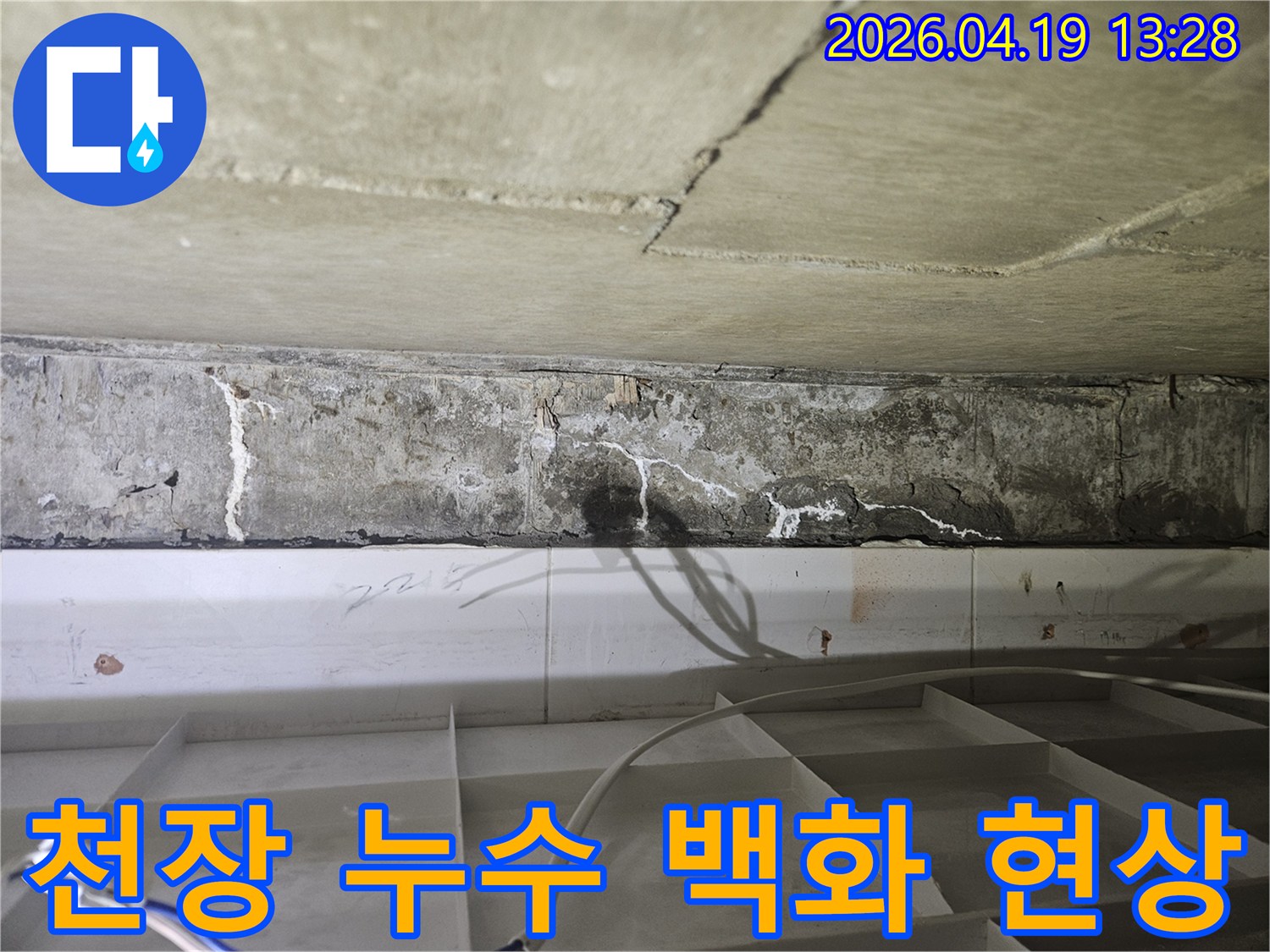 콘크리트 천장에서 발견된 심각한 누수 흔적과-efflorescence-수분 침투로 인한 손상