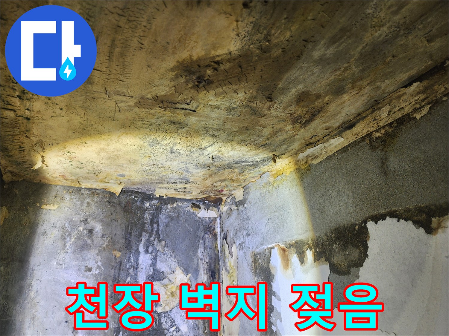 누수로 인해-천장과 벽면의 벽지가 젖고-곰팡이가 번식한 현장 모습