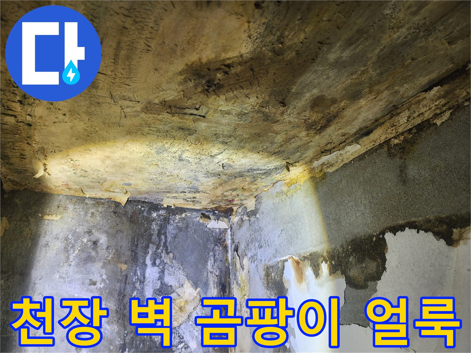 누수로 인해-천장과 벽에 발생한-심각한 곰팡이 얼룩과-벽지 손상 현장