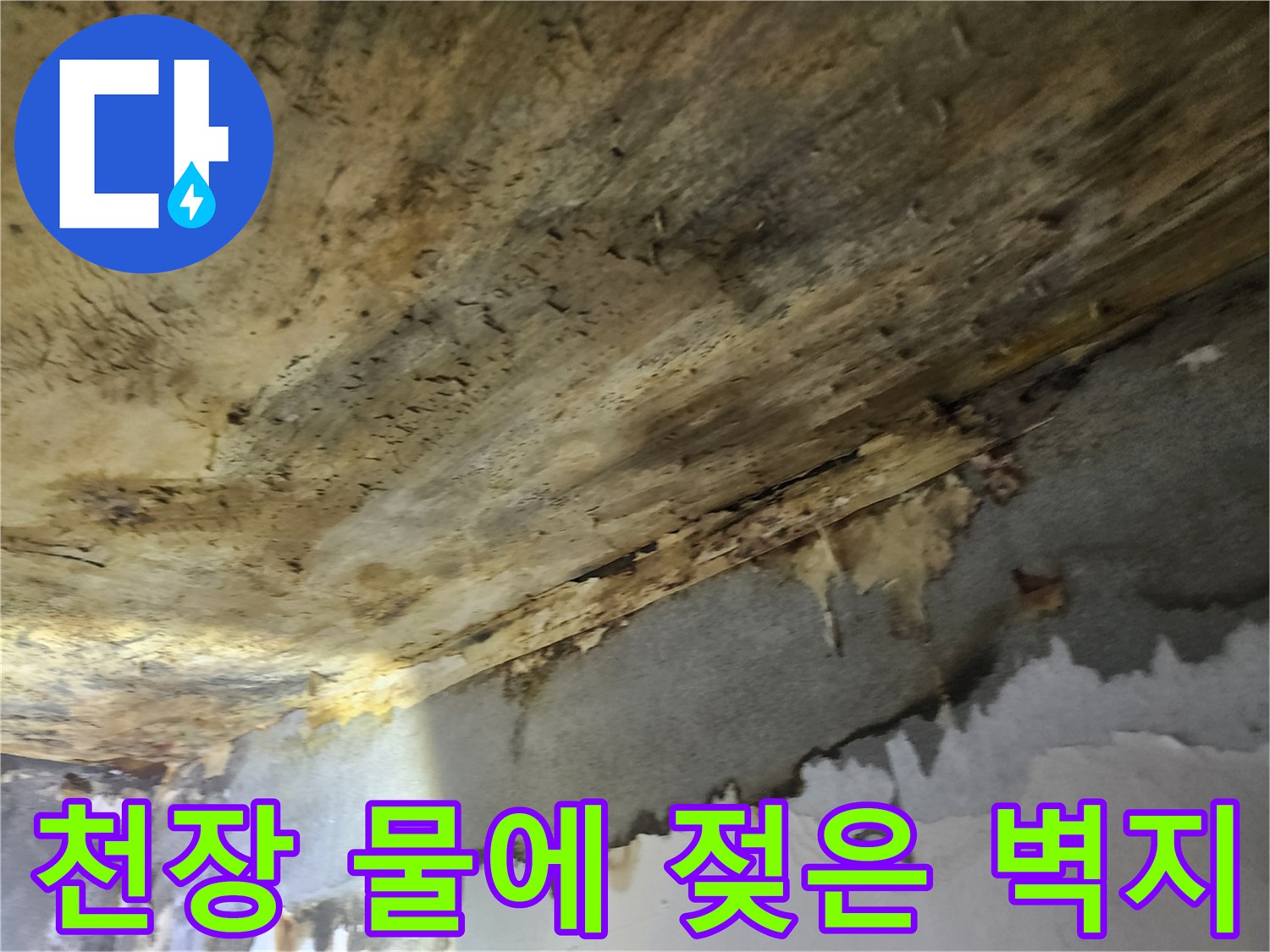 천장-누수로-인해-물에-젖어-손상된-벽지를-안전하게-처리하는-모습