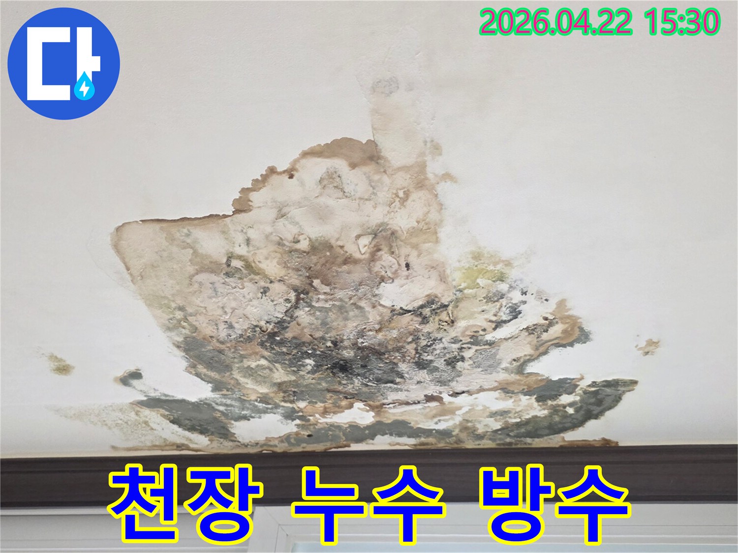 누수로-인해-천장에-발생한-곰팡이와-오염을-제거하고-완벽한-방수-처리가-필요한-상황입니다