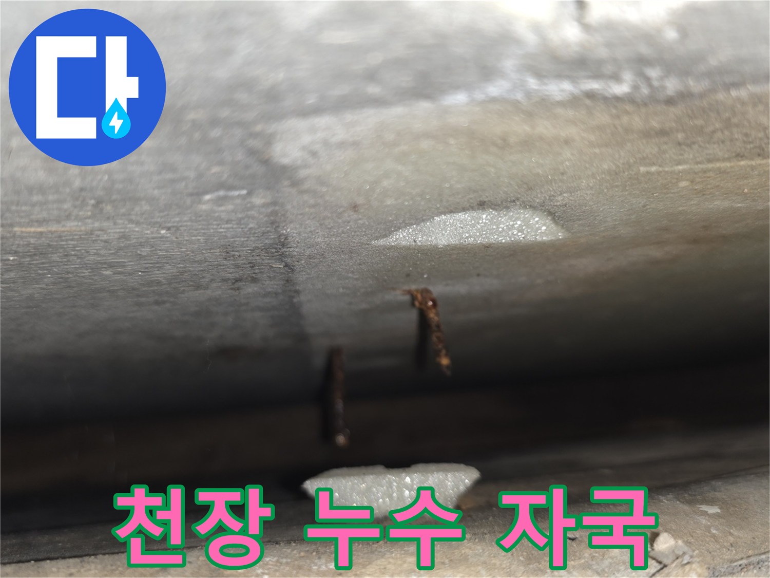 젖어 있는 천장 내부-배관 주변의 누수 현상