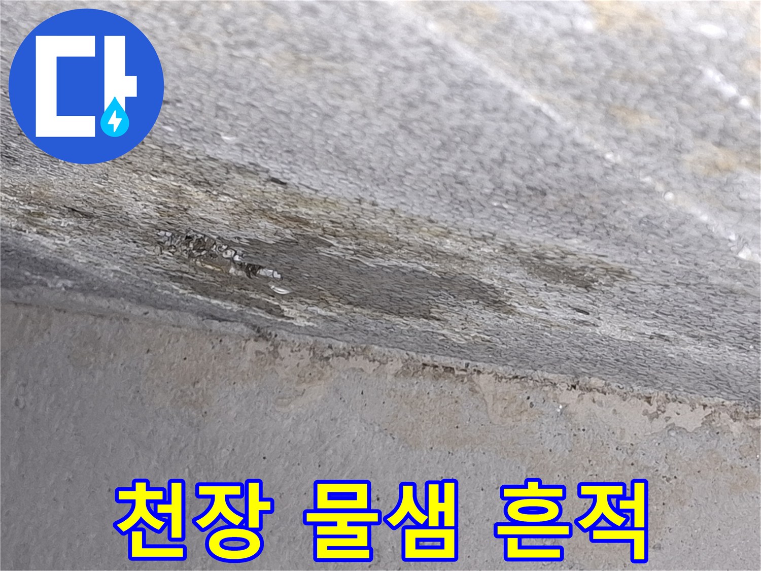 습기가 번져있는 천장 슬래브의 모습