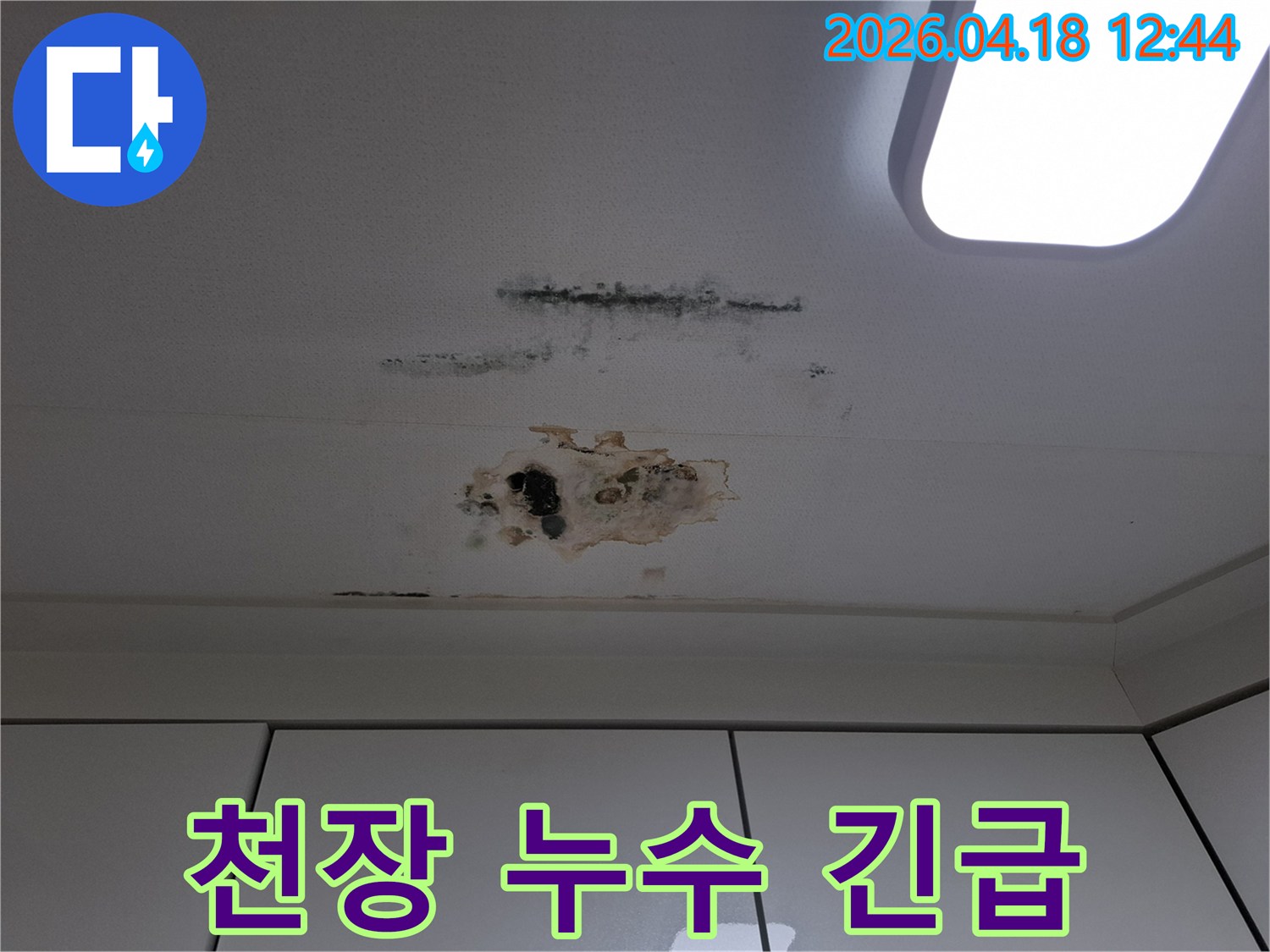 긴급한-조치가-필요한-아파트-천장-누수-현장-곰팡이와-손상이-심각함