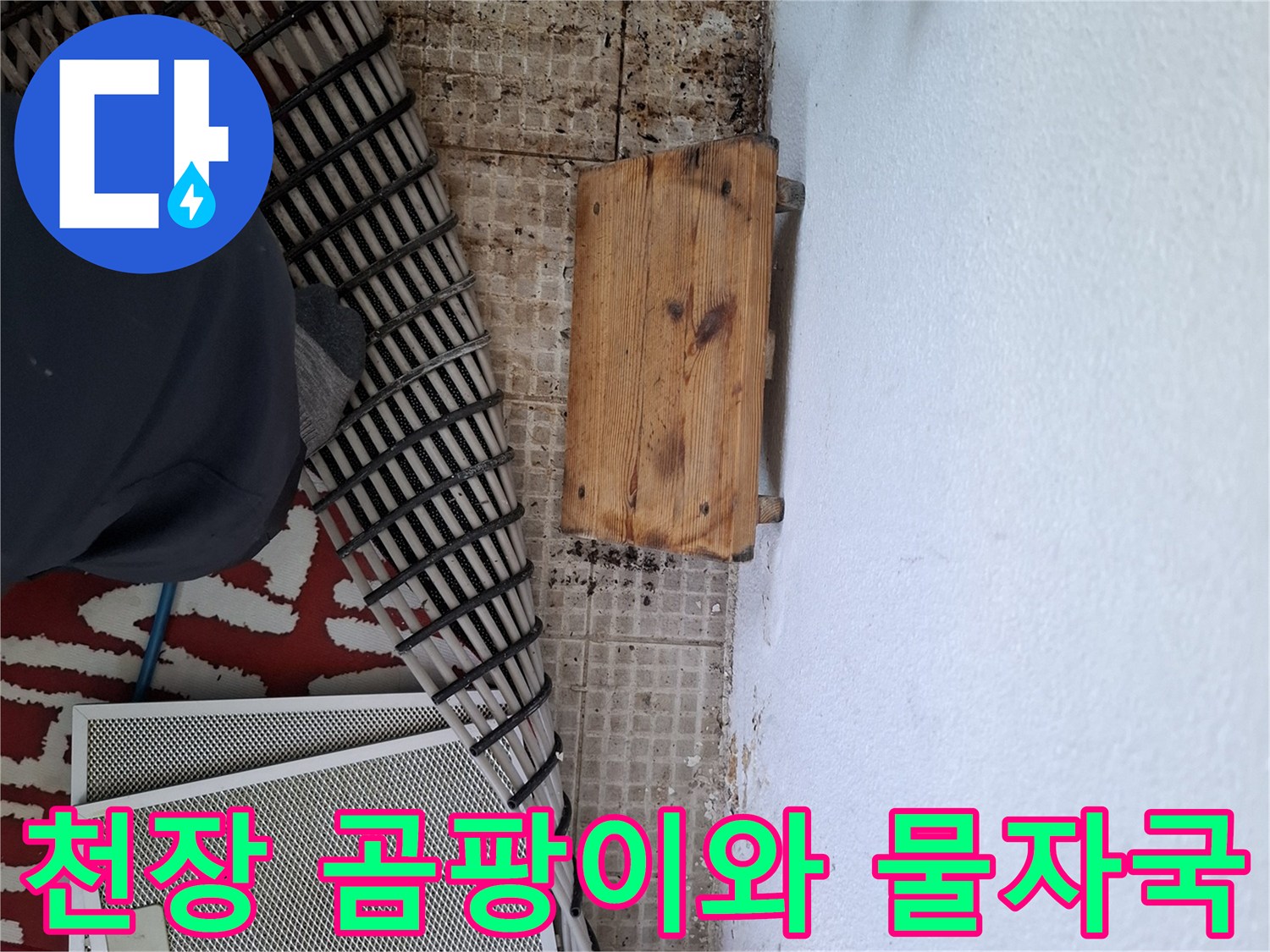 물자국과 곰팡이가 함께 보이는 천장 상태
