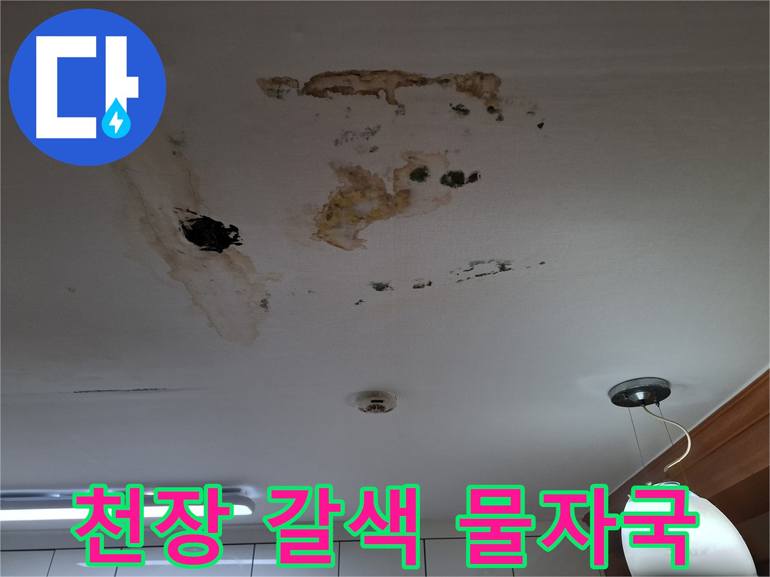 아랫집 천장 - 누수로 인한 갈색 얼룩 및 곰팡이 오염