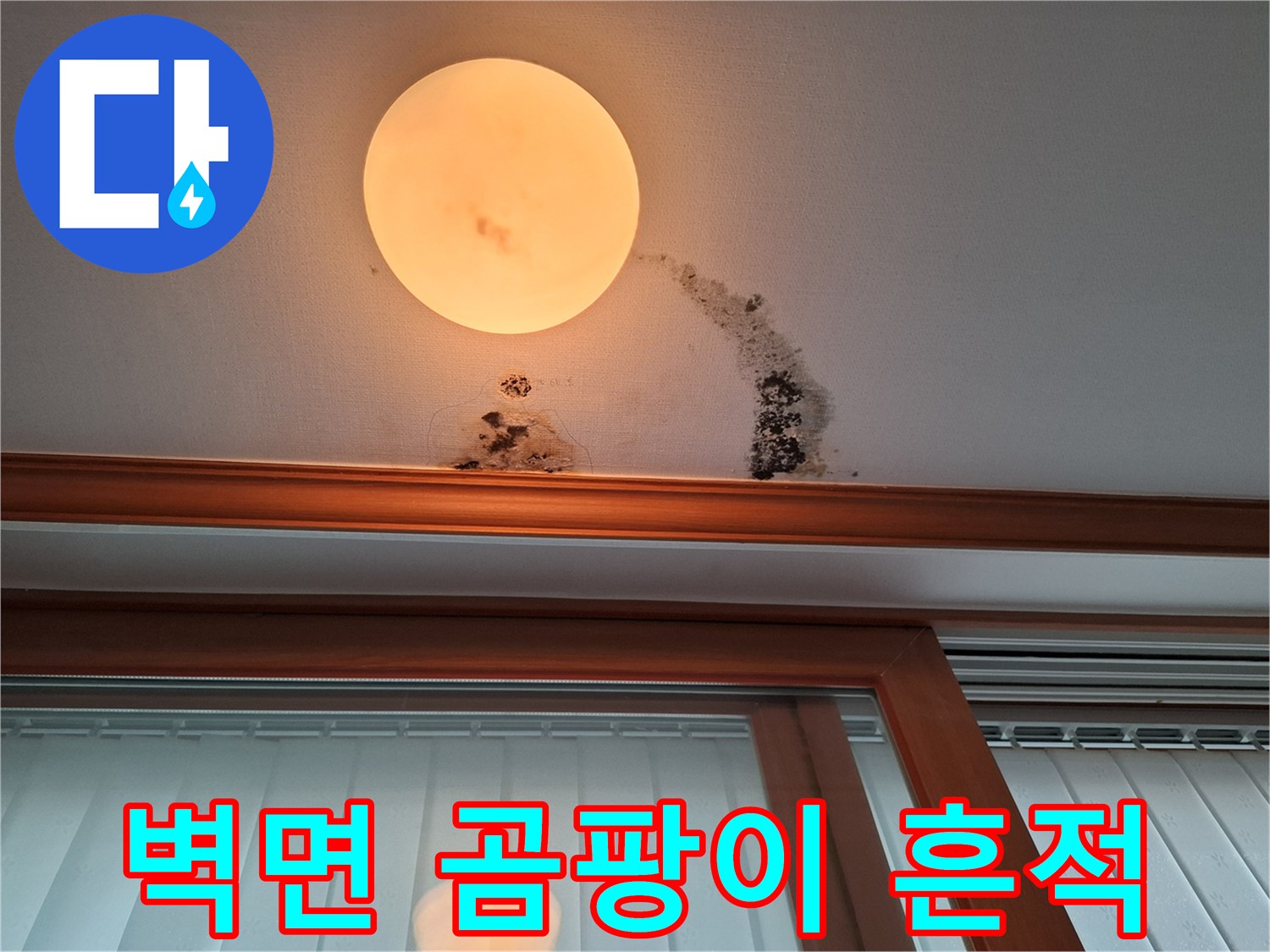 천장 벽지를 따라 번진 검은 곰팡이와 물자국 현황